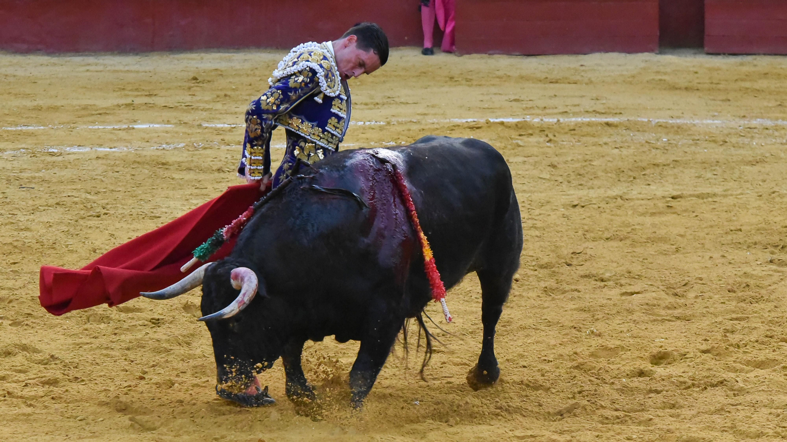 El festejo mixto de la Feria Real de San Roque, en imágenes