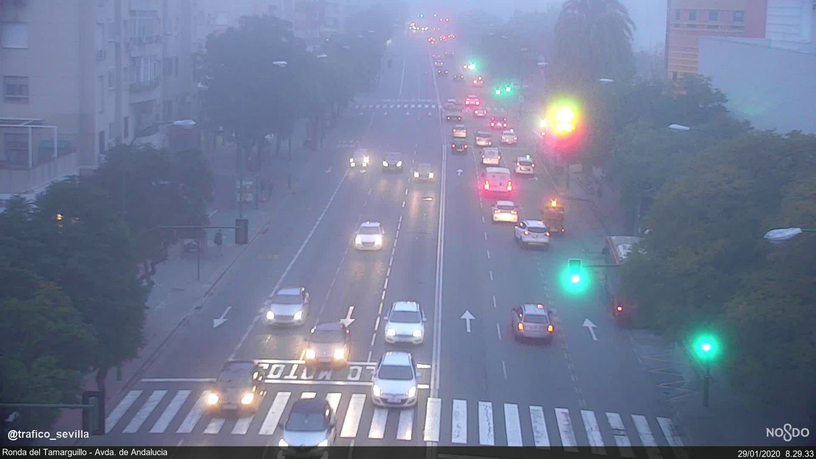La densa niebla con la que ha amanecido la ciudad de Sevilla.