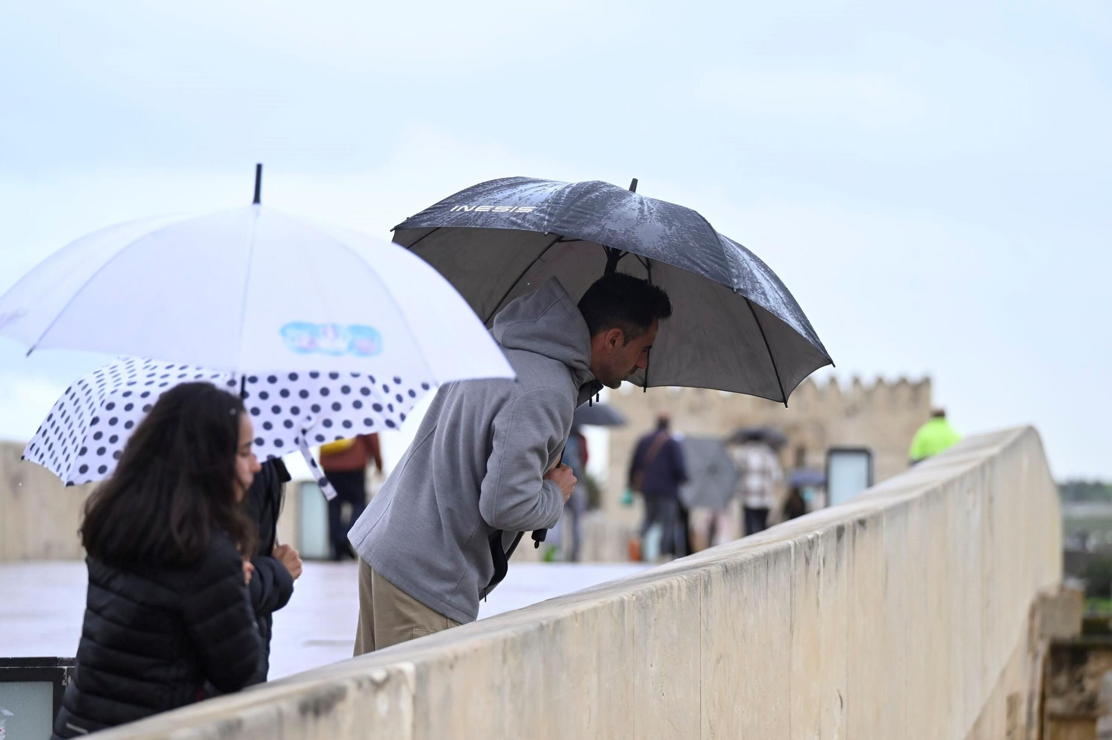 El paso por la borrasca Konrad por Córdoba, en imágenes