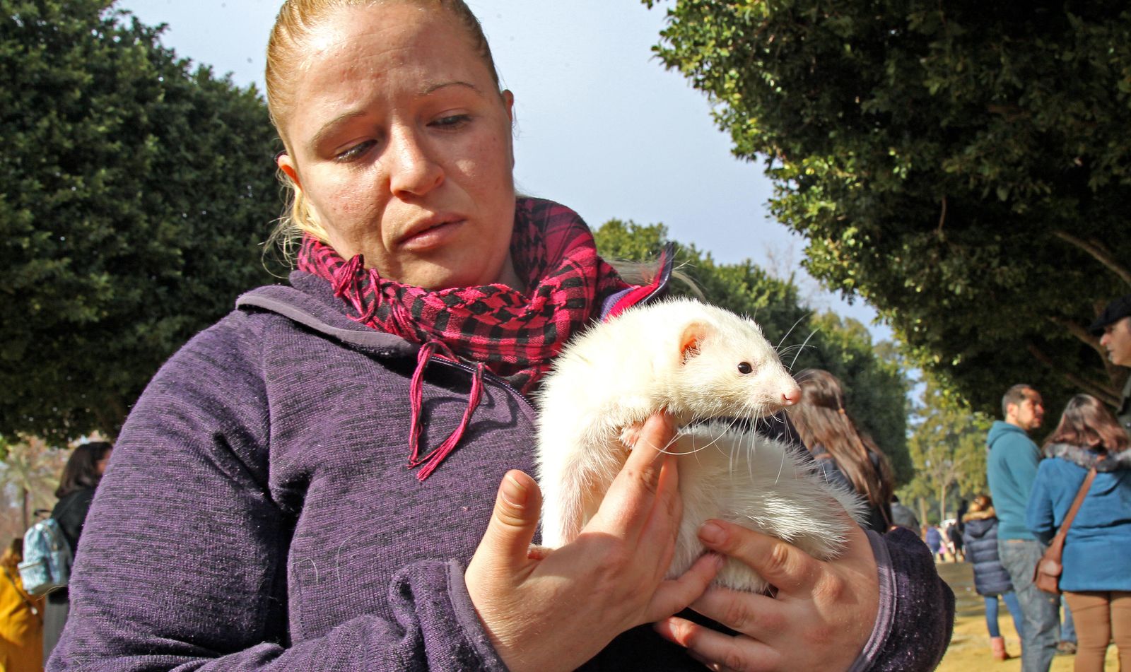 Las imágenes de San Antón