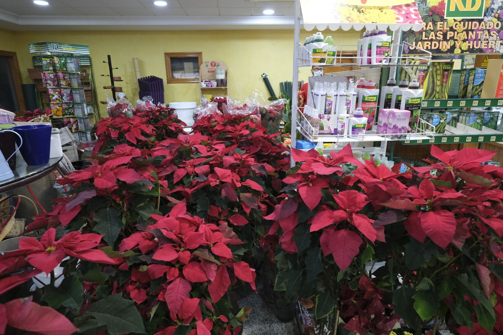 Fotogalería Floristería Suministros Tripiana