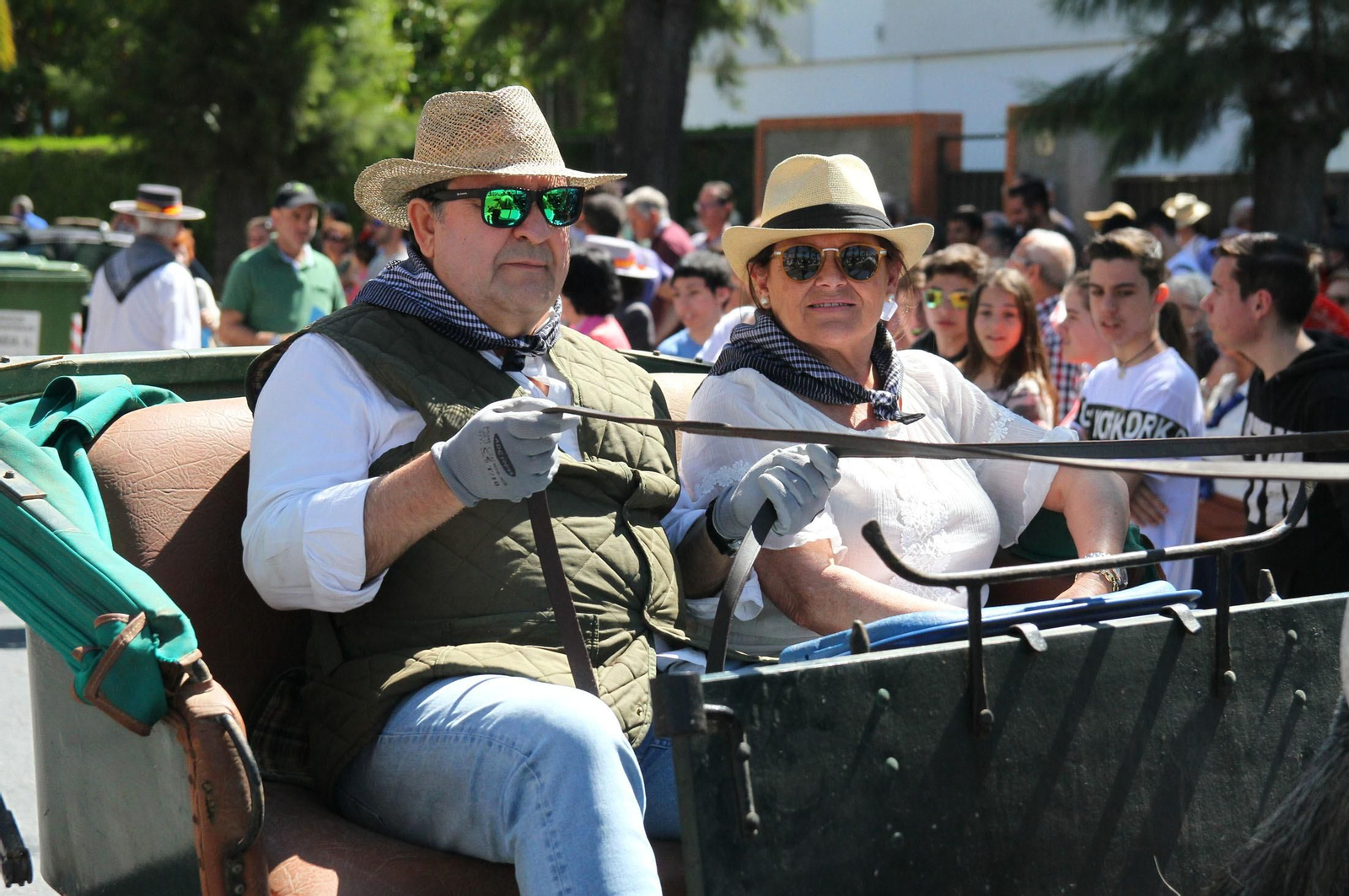Imágenes de los caballistas, peregrinos a pie y carros de la Hdad de Emigrantes