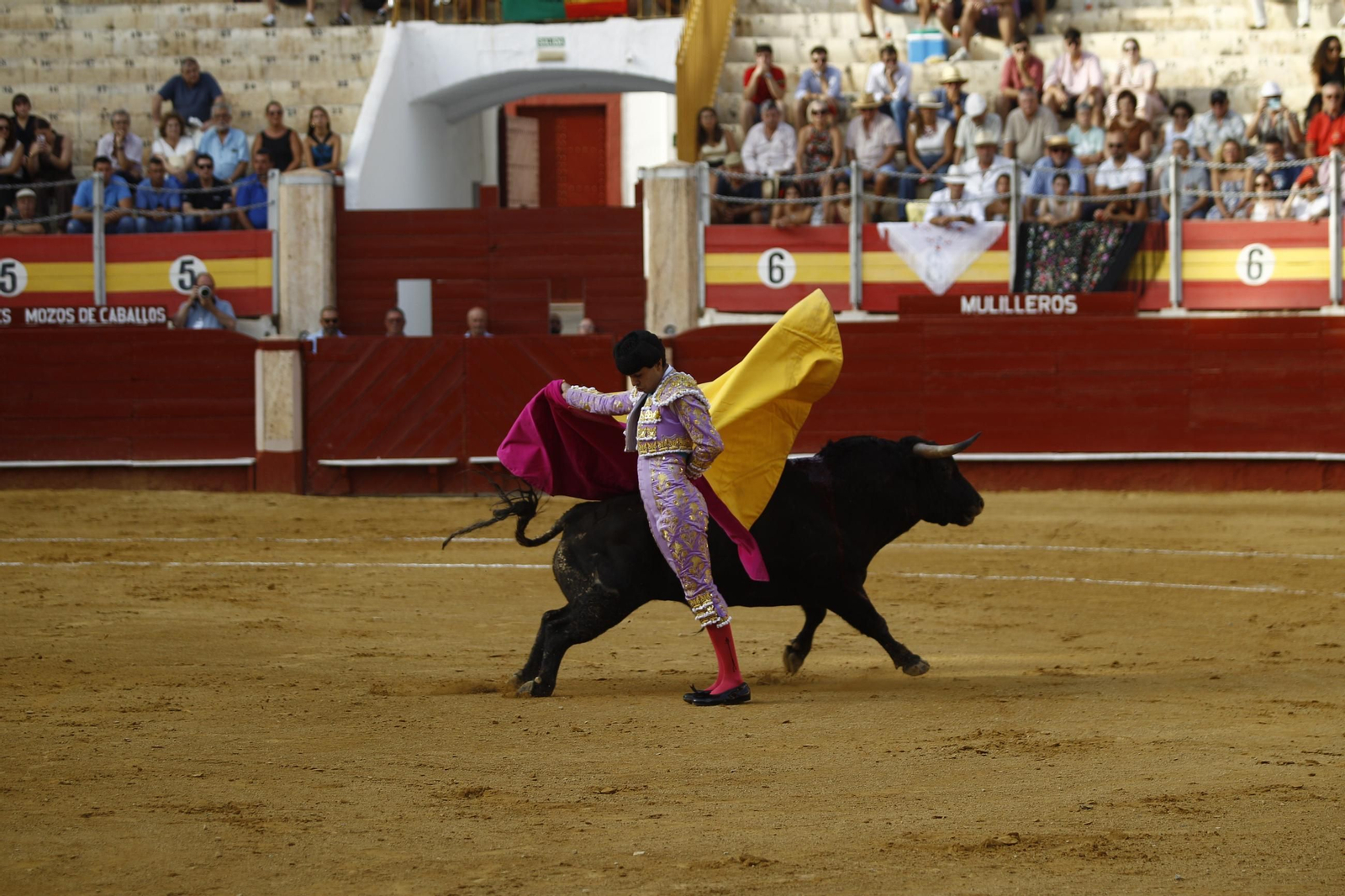 Imágenes de la novillada de la Feria de Almería 2025