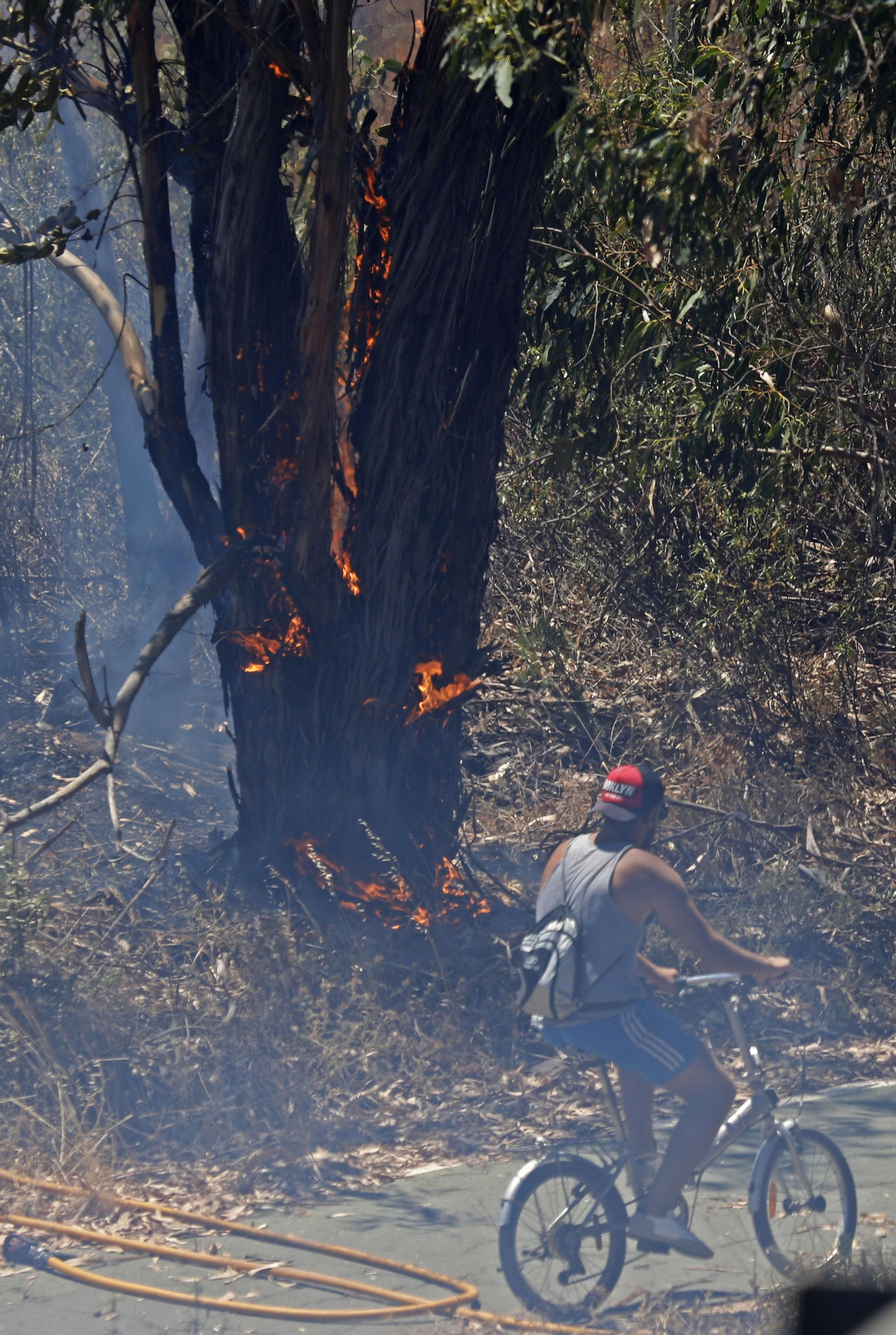 Imágenes del espectacular incendio entre en el paraje de la raya de Aljaraque y Marismas del Odiel