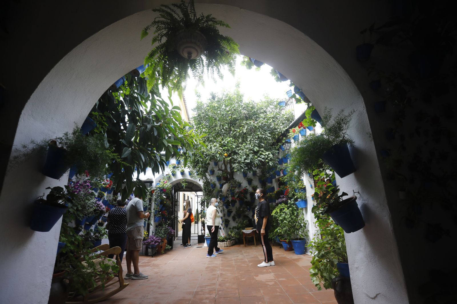 Un recorrido en fotografías por los Patios de Córdoba un domingo de otoño