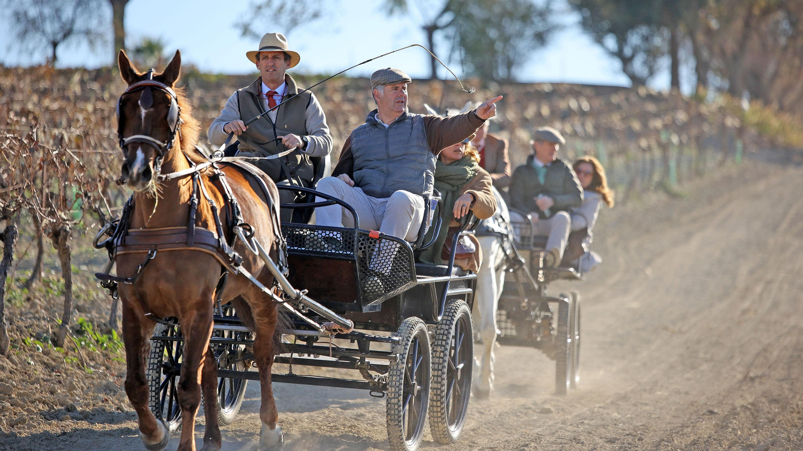 II Ruta Viñas de Jerez