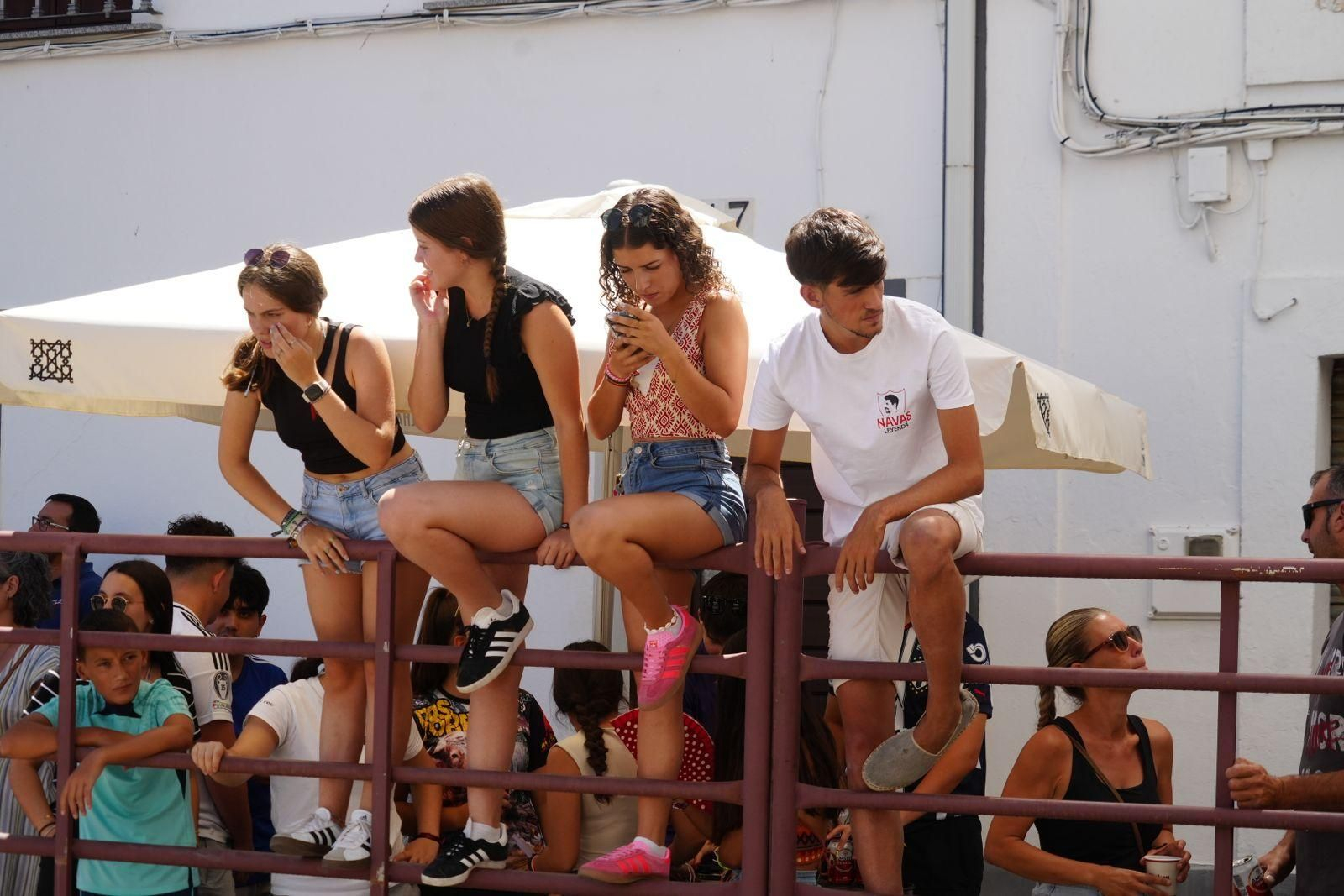 Las mejores imágenes de la suelta de vaquillas en la Feria de Alcaracejos
