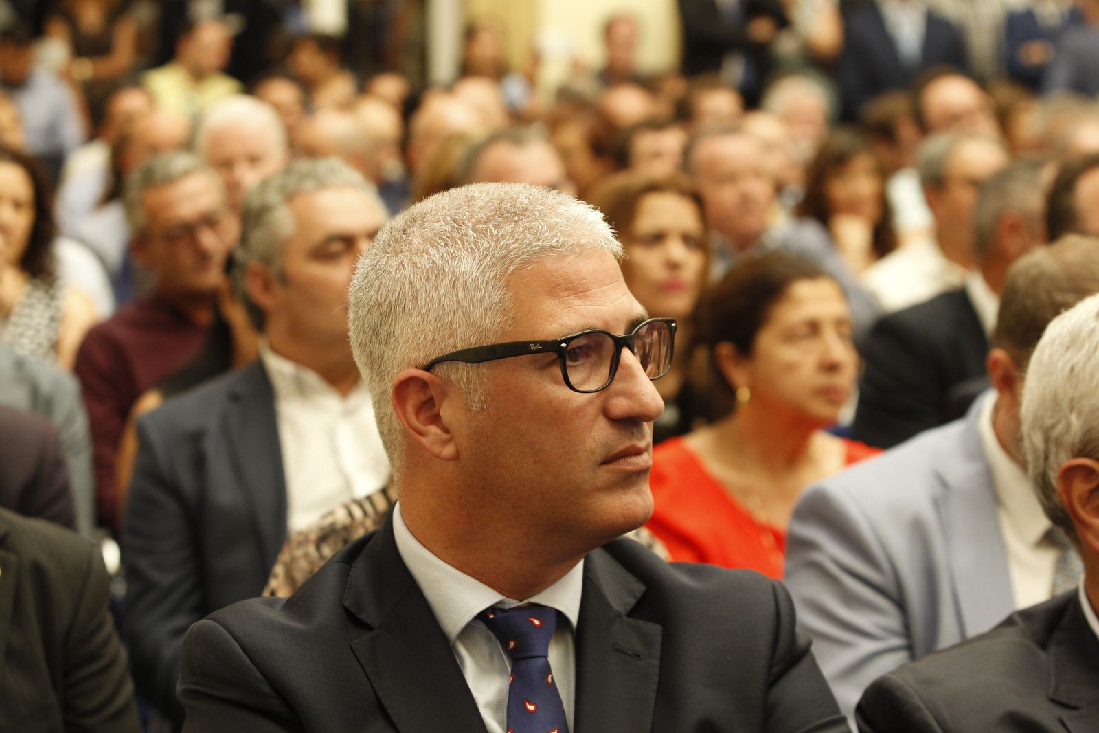 Pleno investidura Presidente Diputación de Almería. Javier Aureliano García