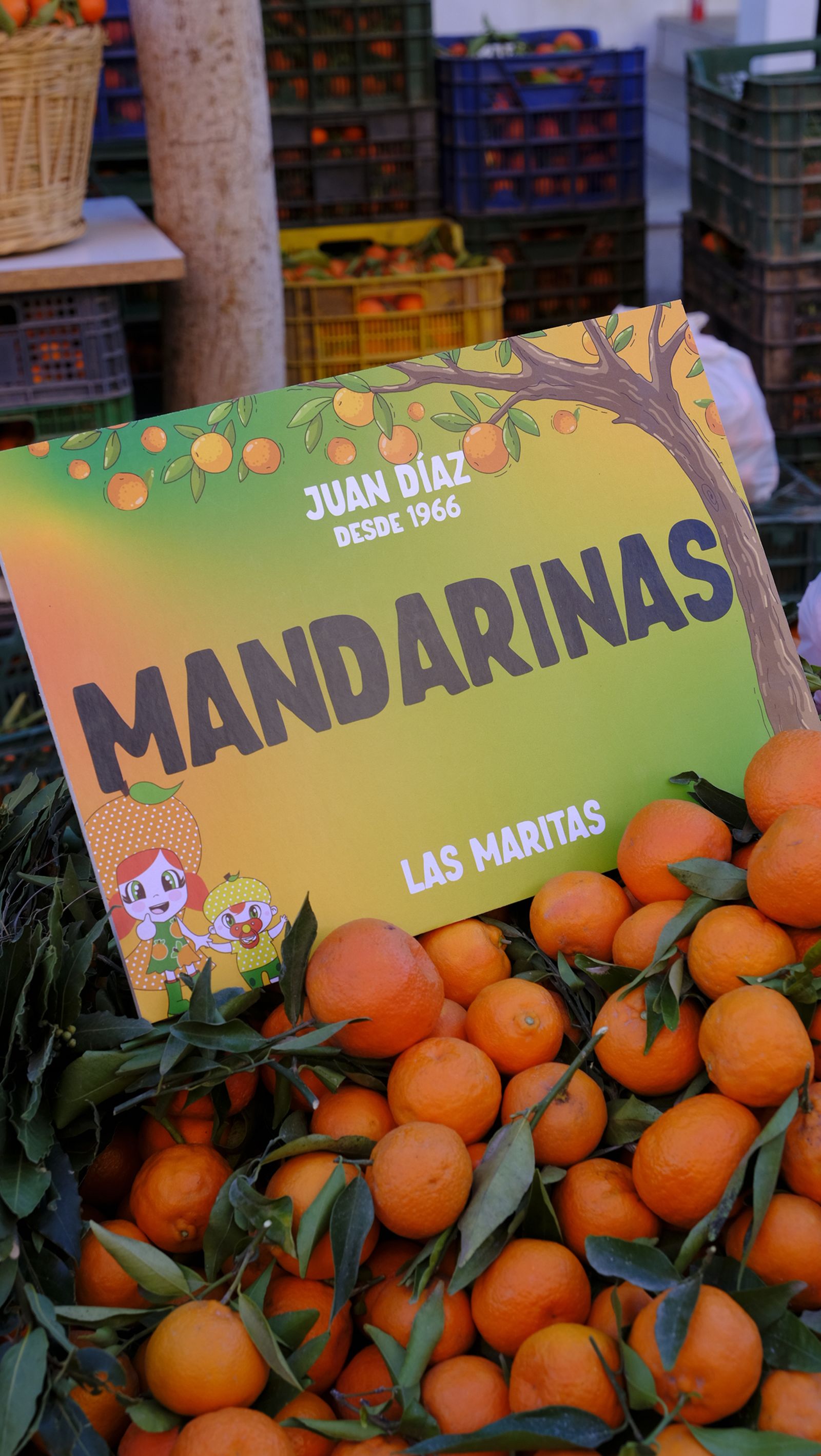 El Día de la Naranja en Gádor, en imágenes