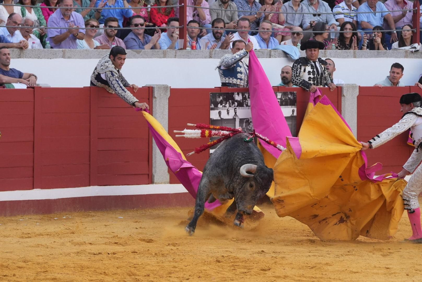 La corrida de toros de Ferrera, Escribano y Lamelas en Pozoblanco, en imágenes