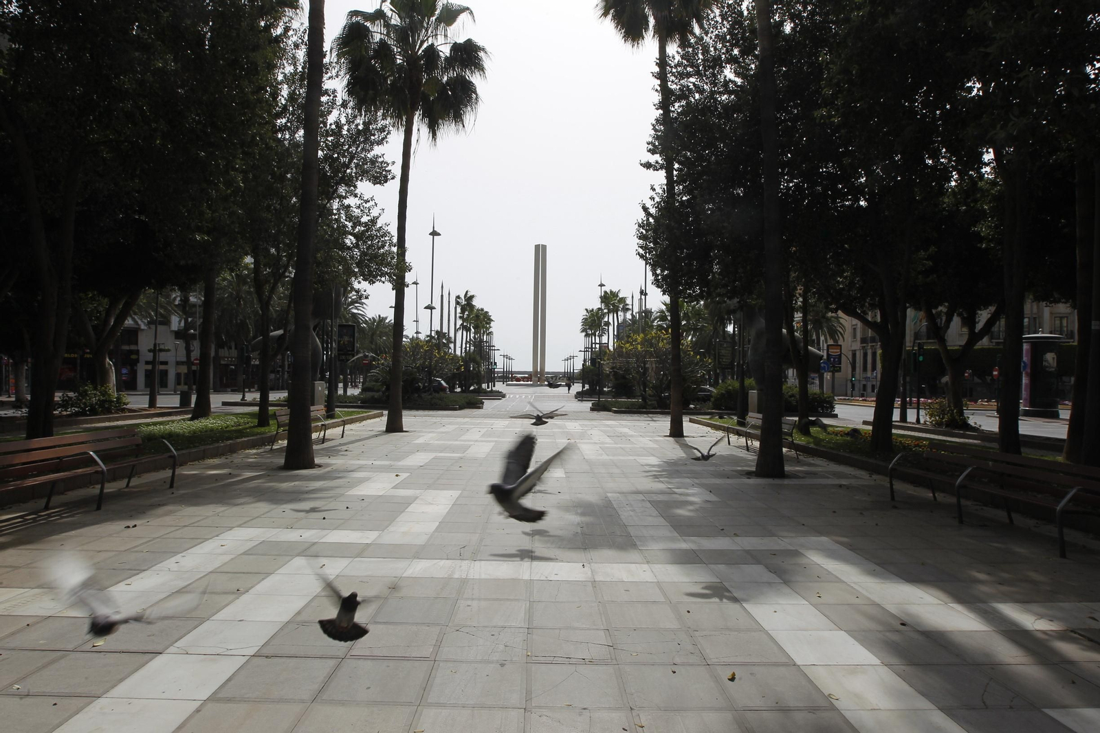 Fotogalería coronavirus COVID-19 en Almería