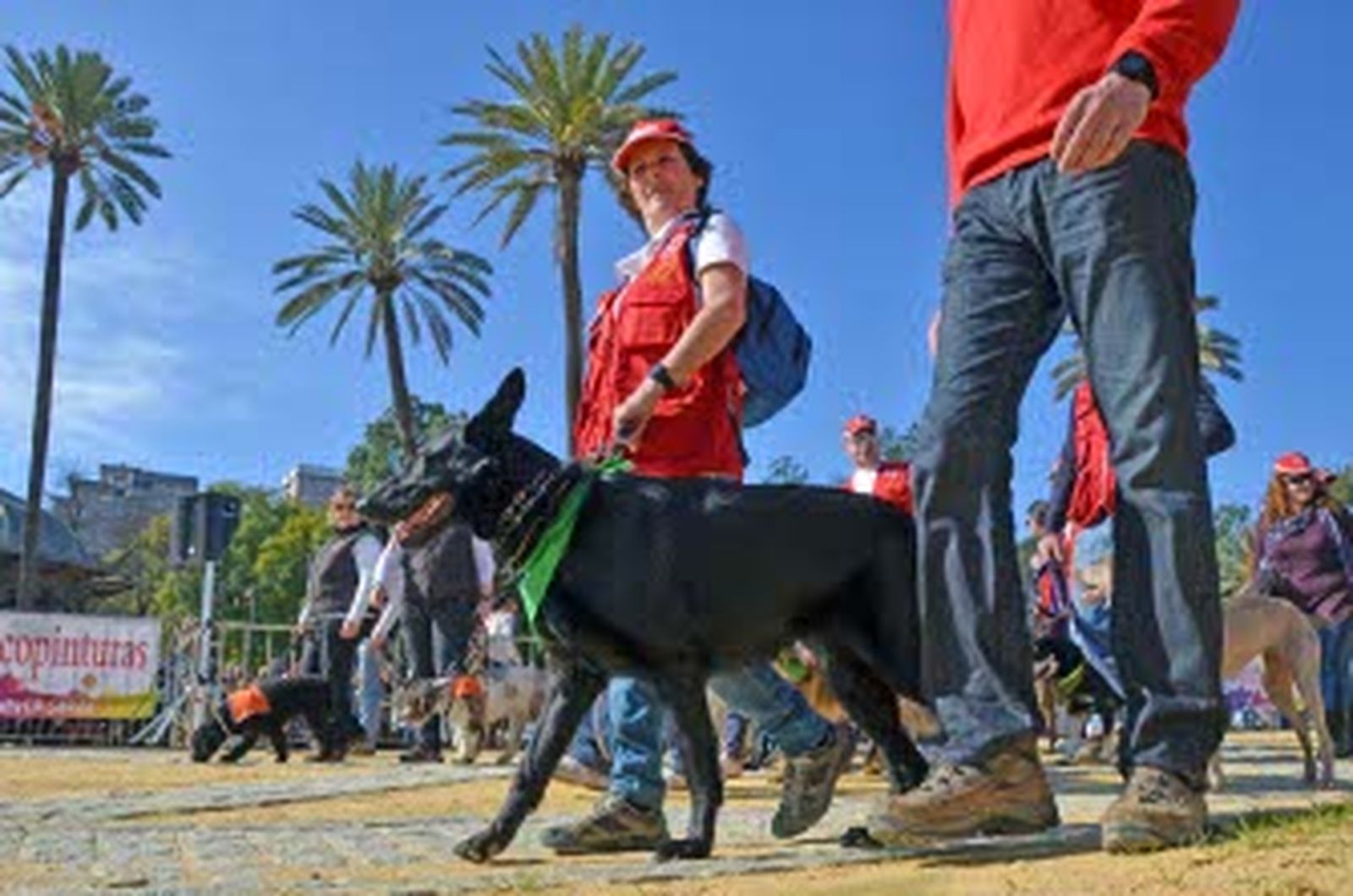 La fiesta más animal