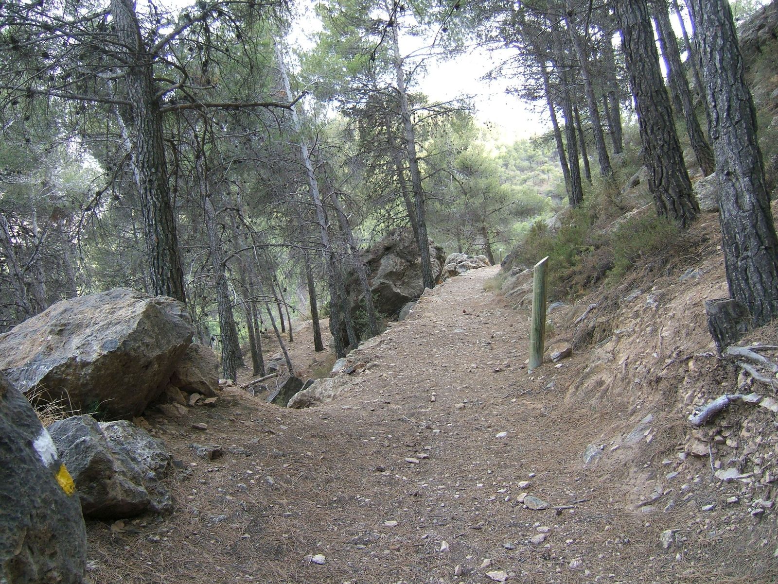 Zona próxima al área recreativa Monterrey en Laujar de Andarax.