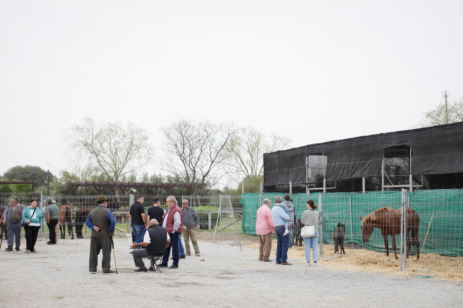Galería de la Feria  de ganado en Tarambana