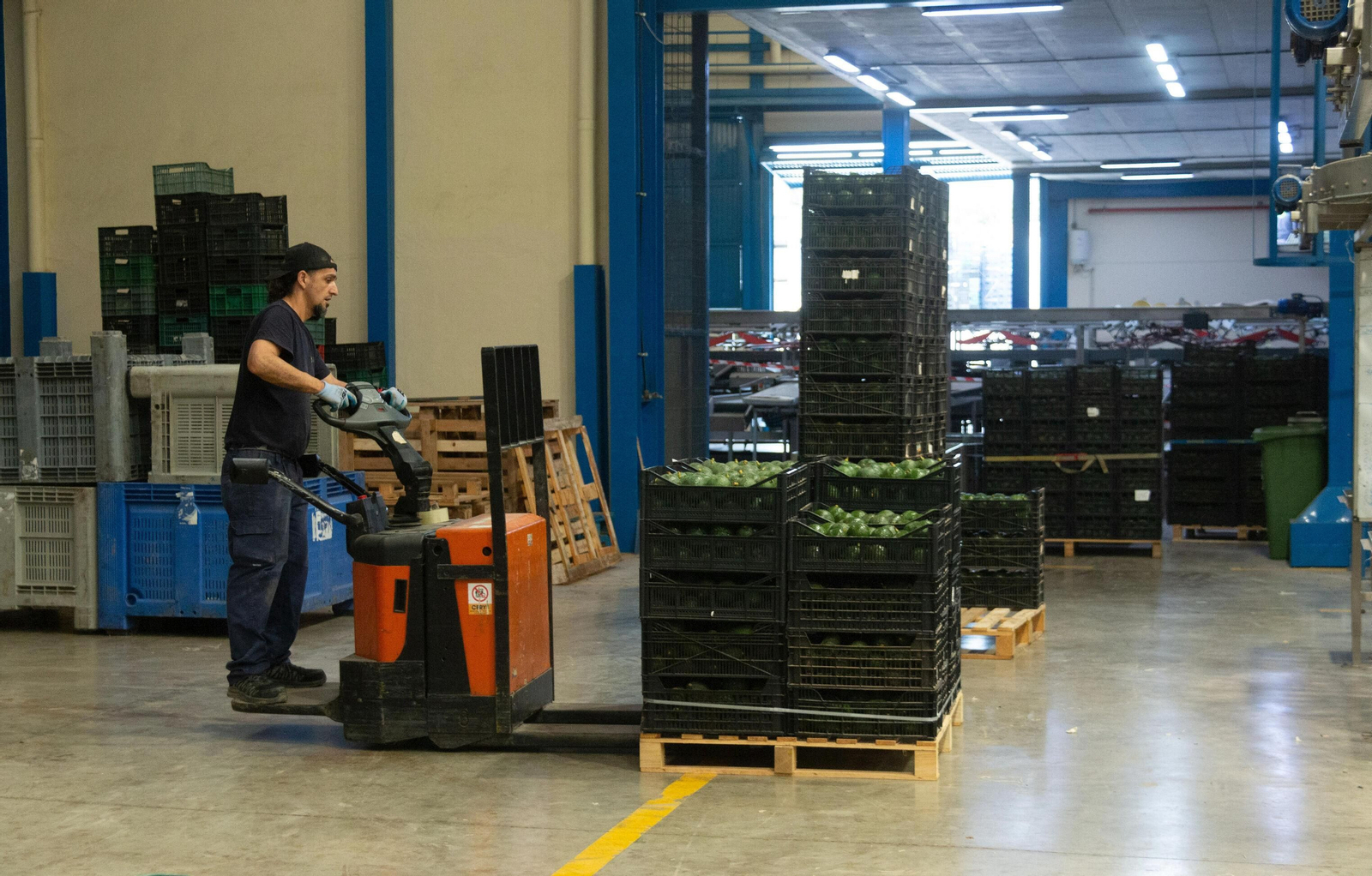 Cargamento de aguacates de la Costa de Granada