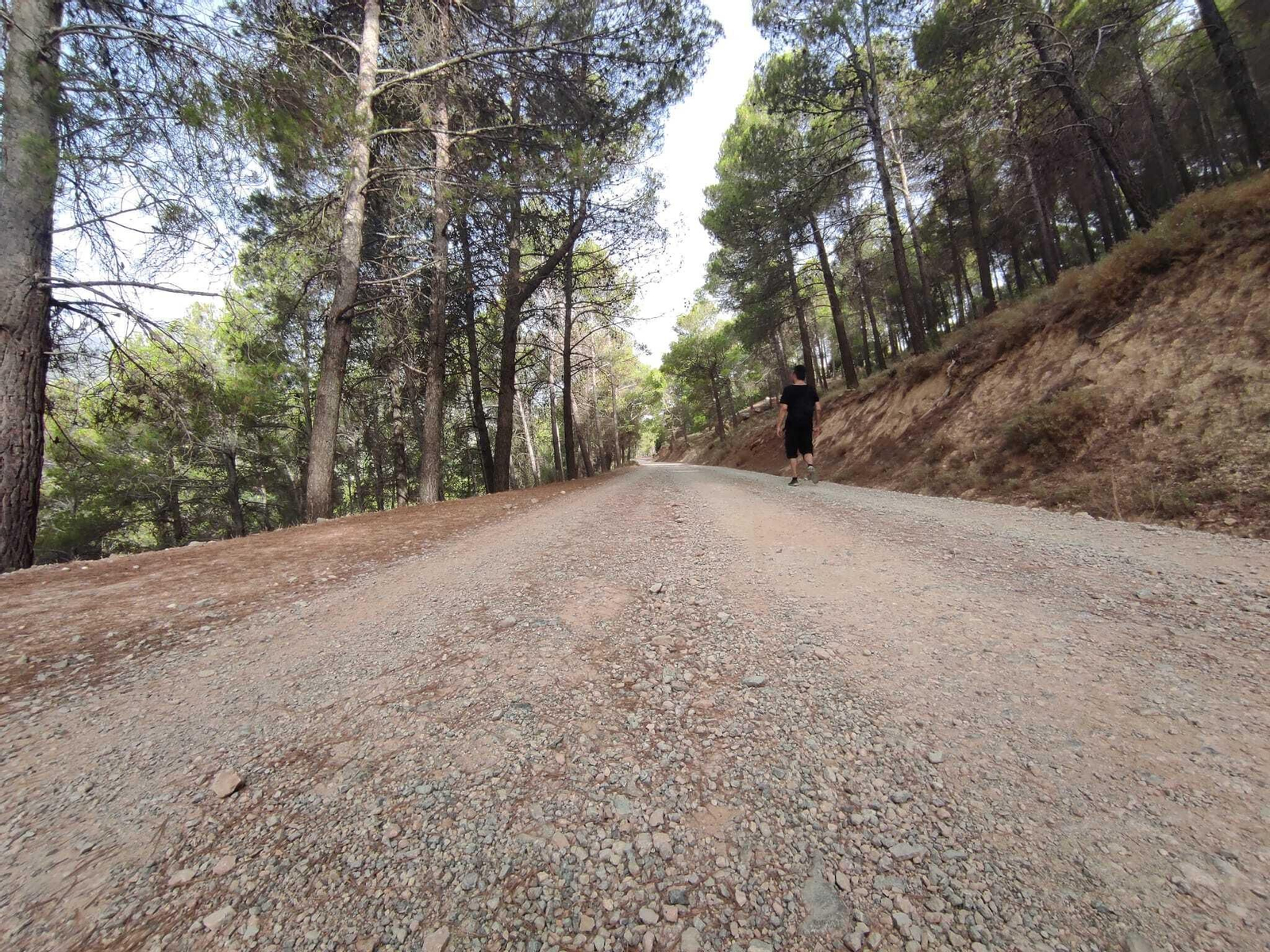 La calzada está compuesta de cemento y tierra.