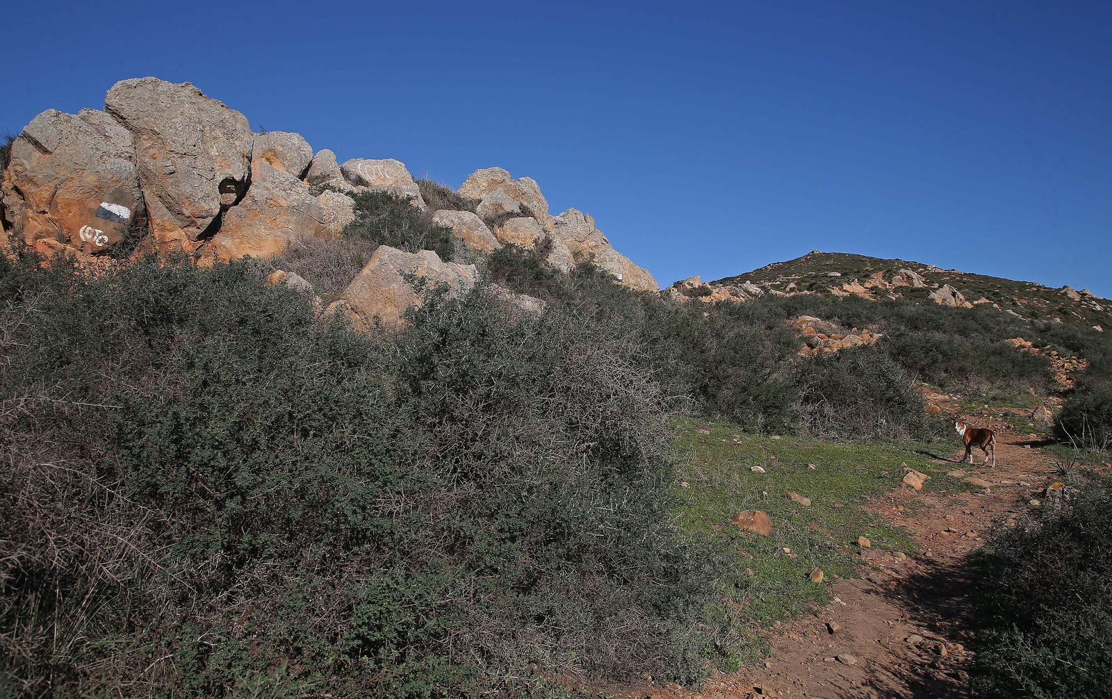 Fotos de Sierra Carbonera en La Línea