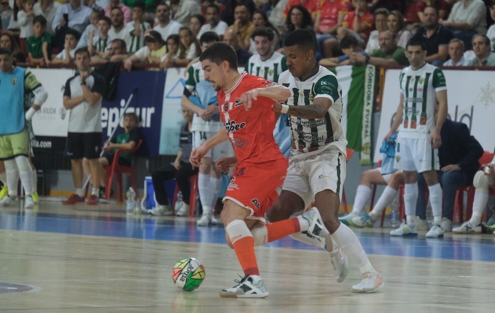 Las mejores fotos del Córdoba Futsal - Jimbee Cartagena en Vista Alegre
