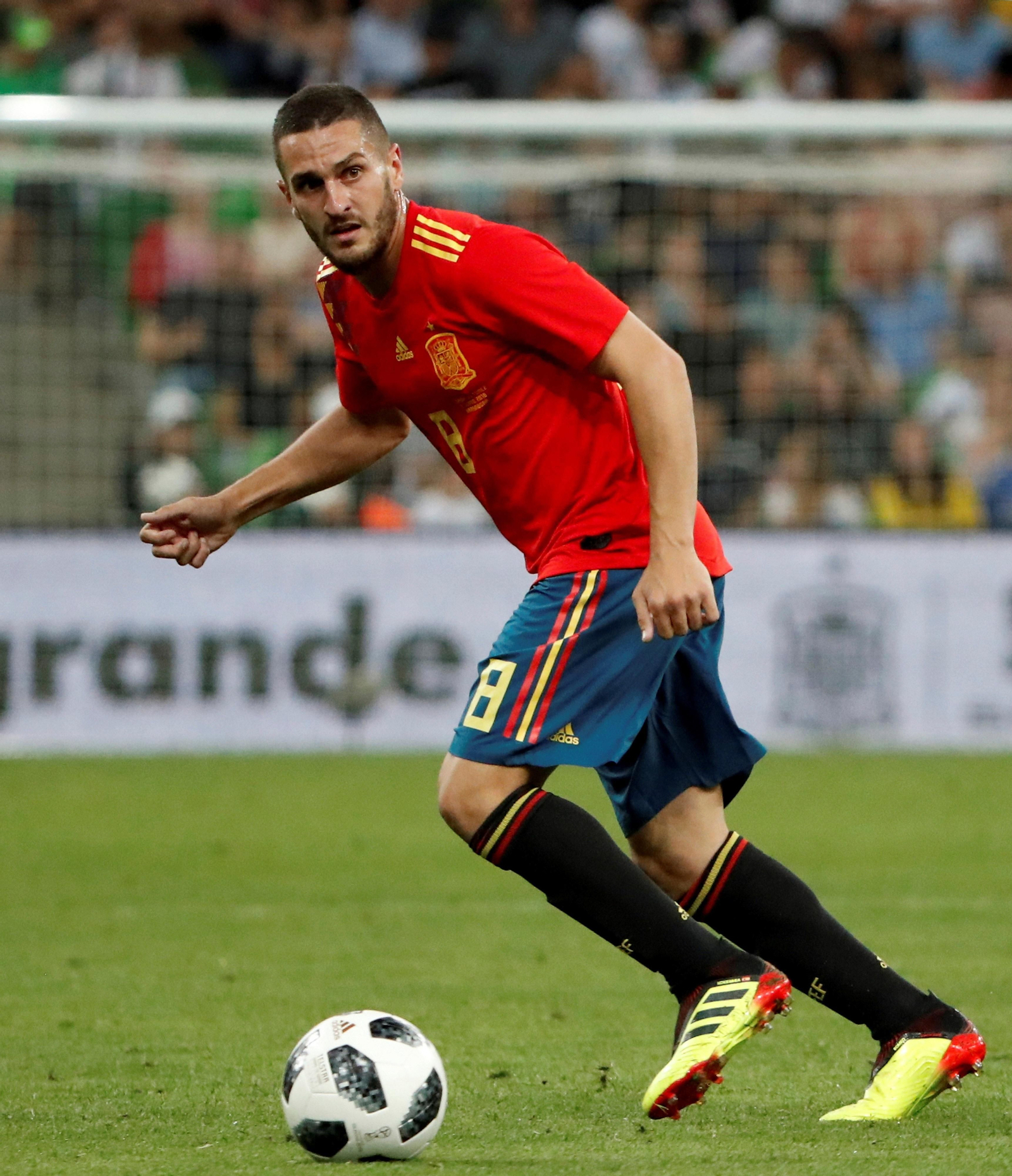 Las imágenes del España-Túnez