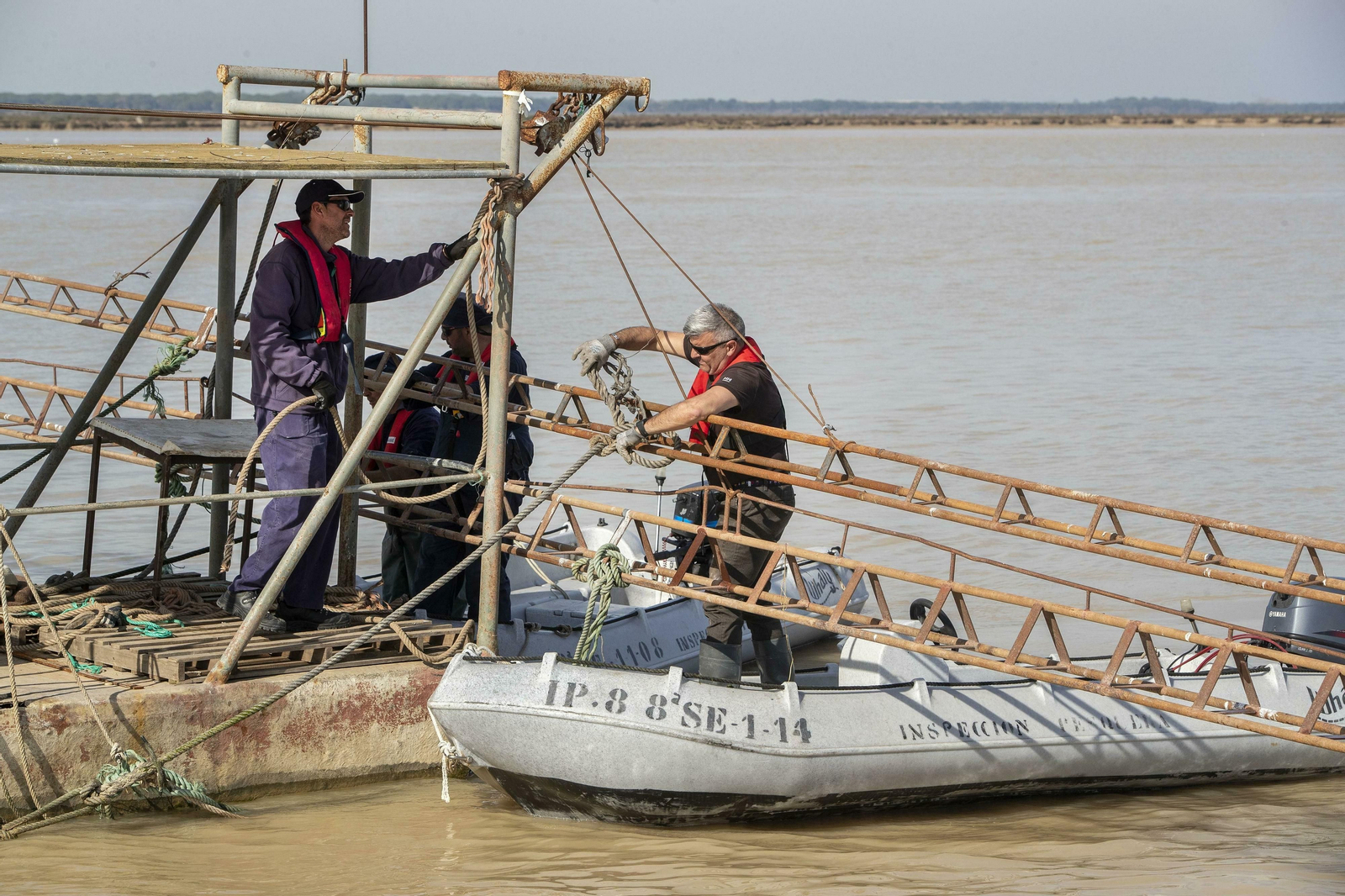 Operación Ave  fenix contra la pesca  de la angula