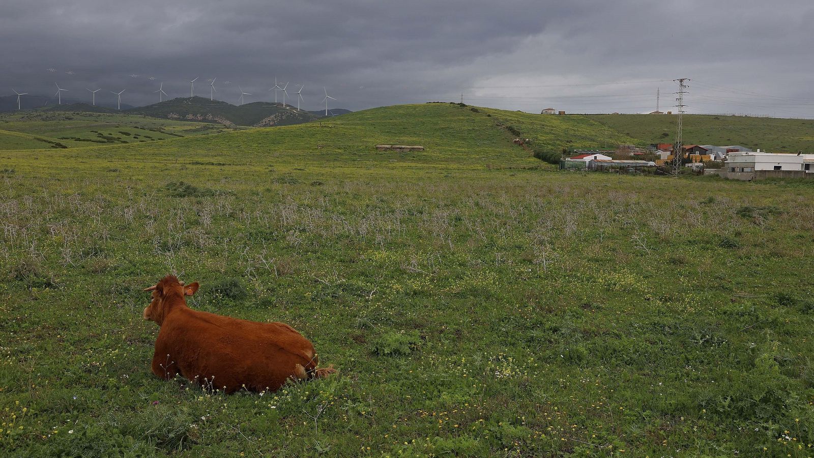 Terreno del próximo camping en La Vega