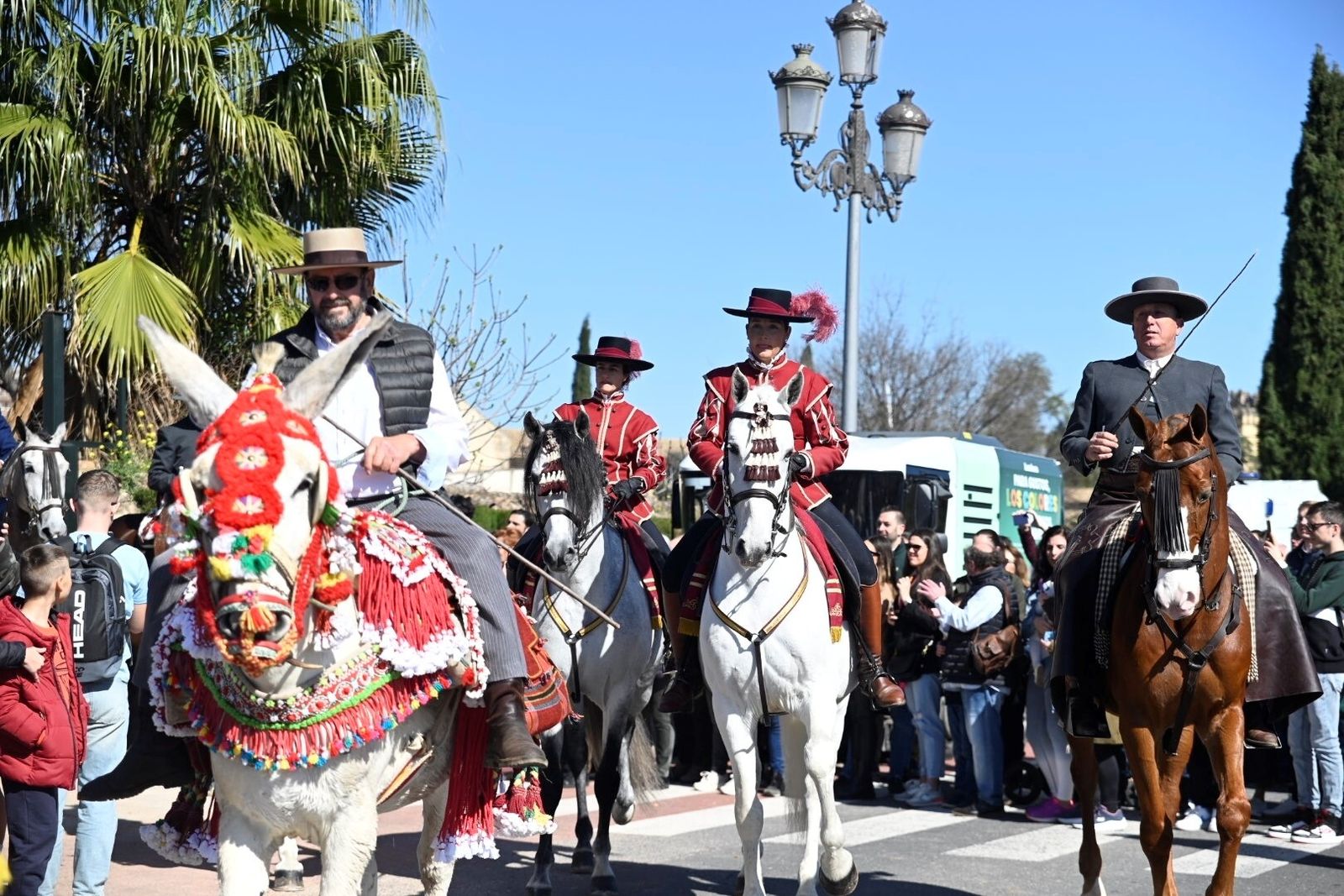 Las mejores fotografías la Marcha Hípica 'Córdoba a Caballo' por el 28F