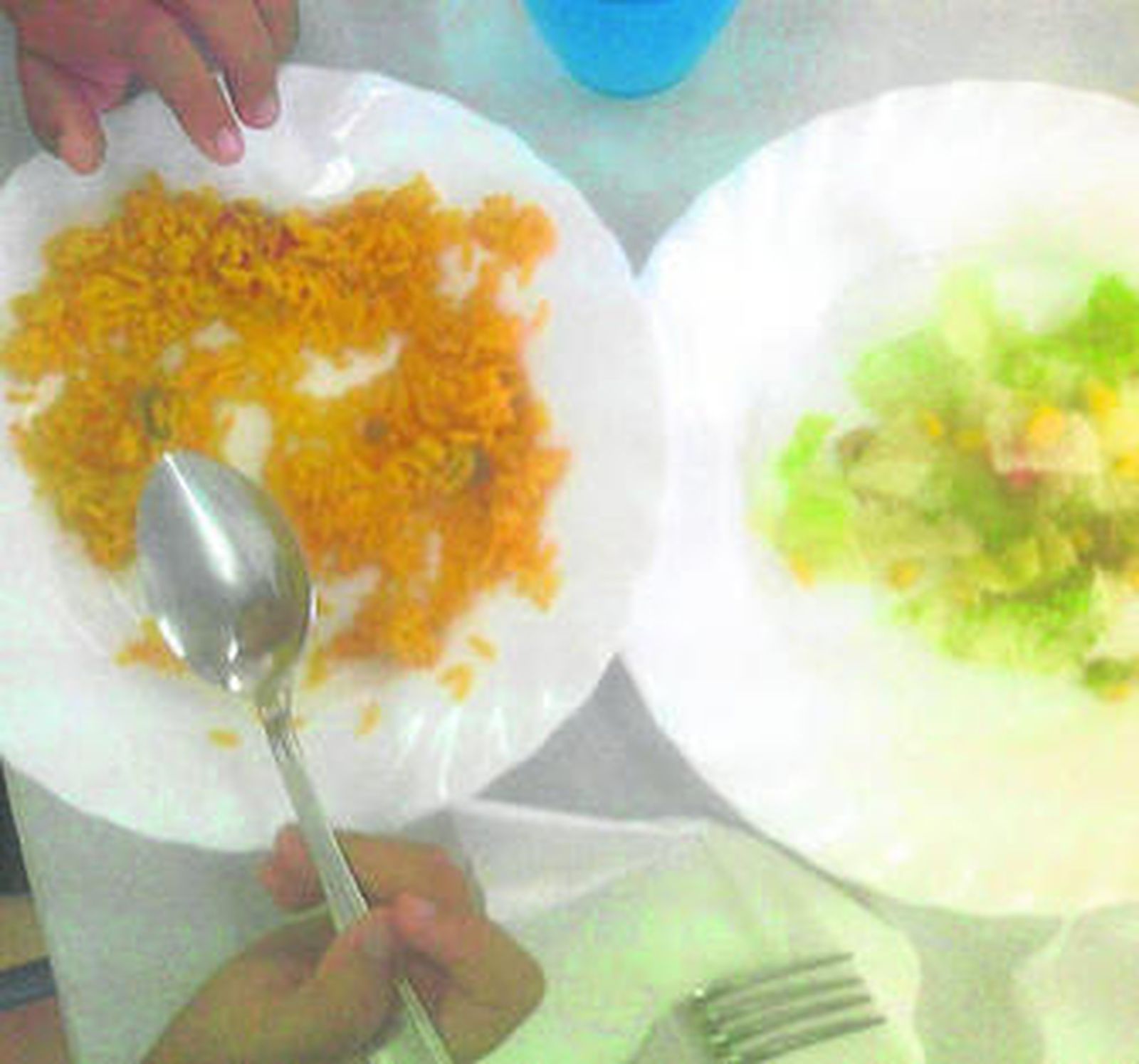 Una de las fotos que ilustra el informe, con una ensalada de segundo plato.