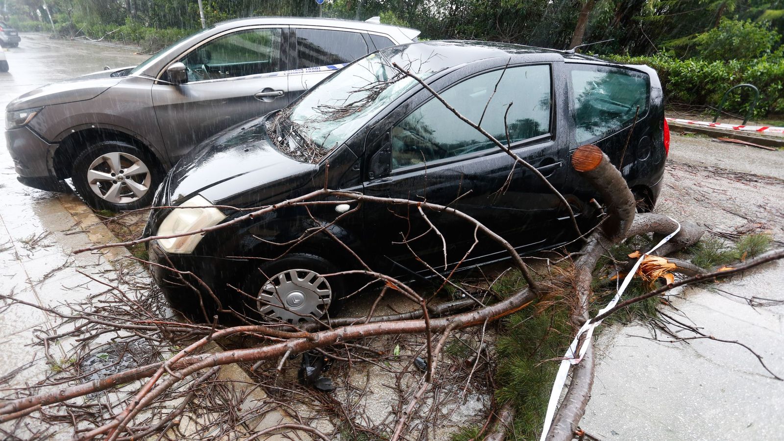 Fotografías de árboles caídos e inundaciones por la borrasca Leonardo