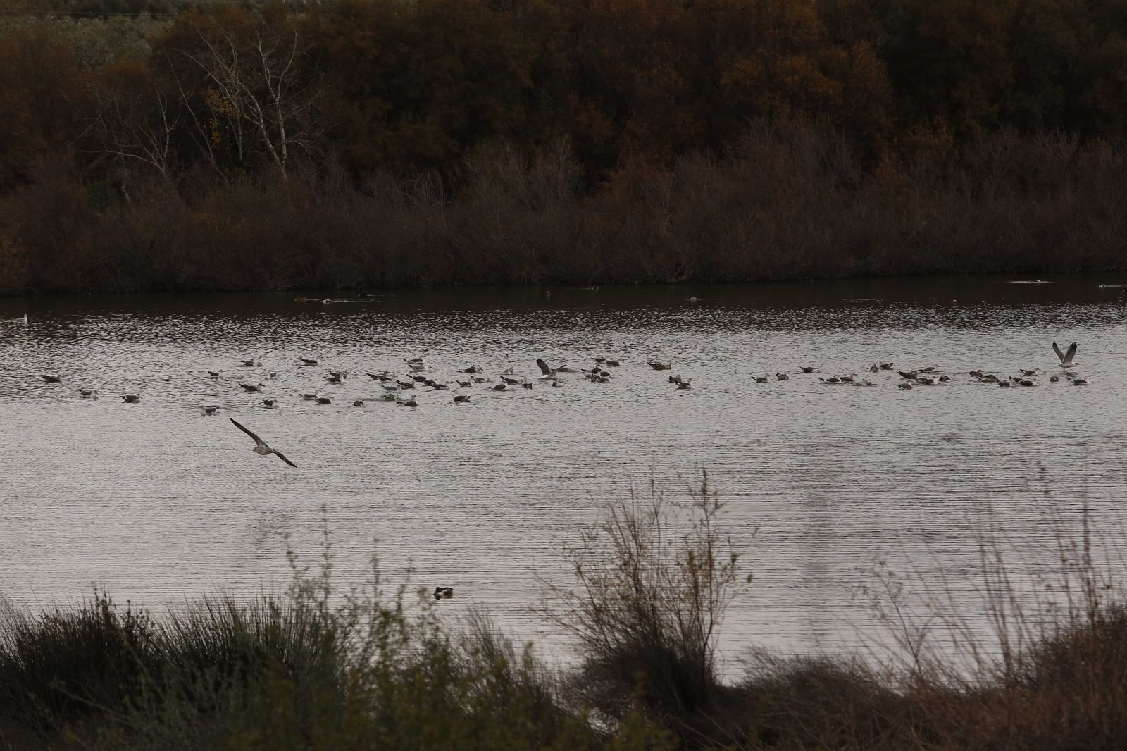 El paisaje dejado por la lluvia, en fotos.