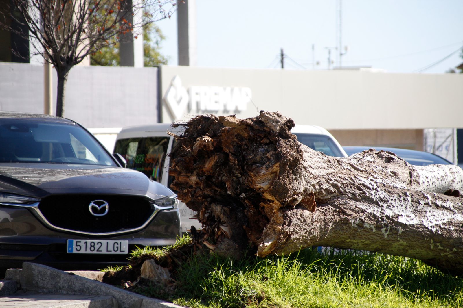 Las imágenes más destacadas del martes 7 de noviembre en Huelva