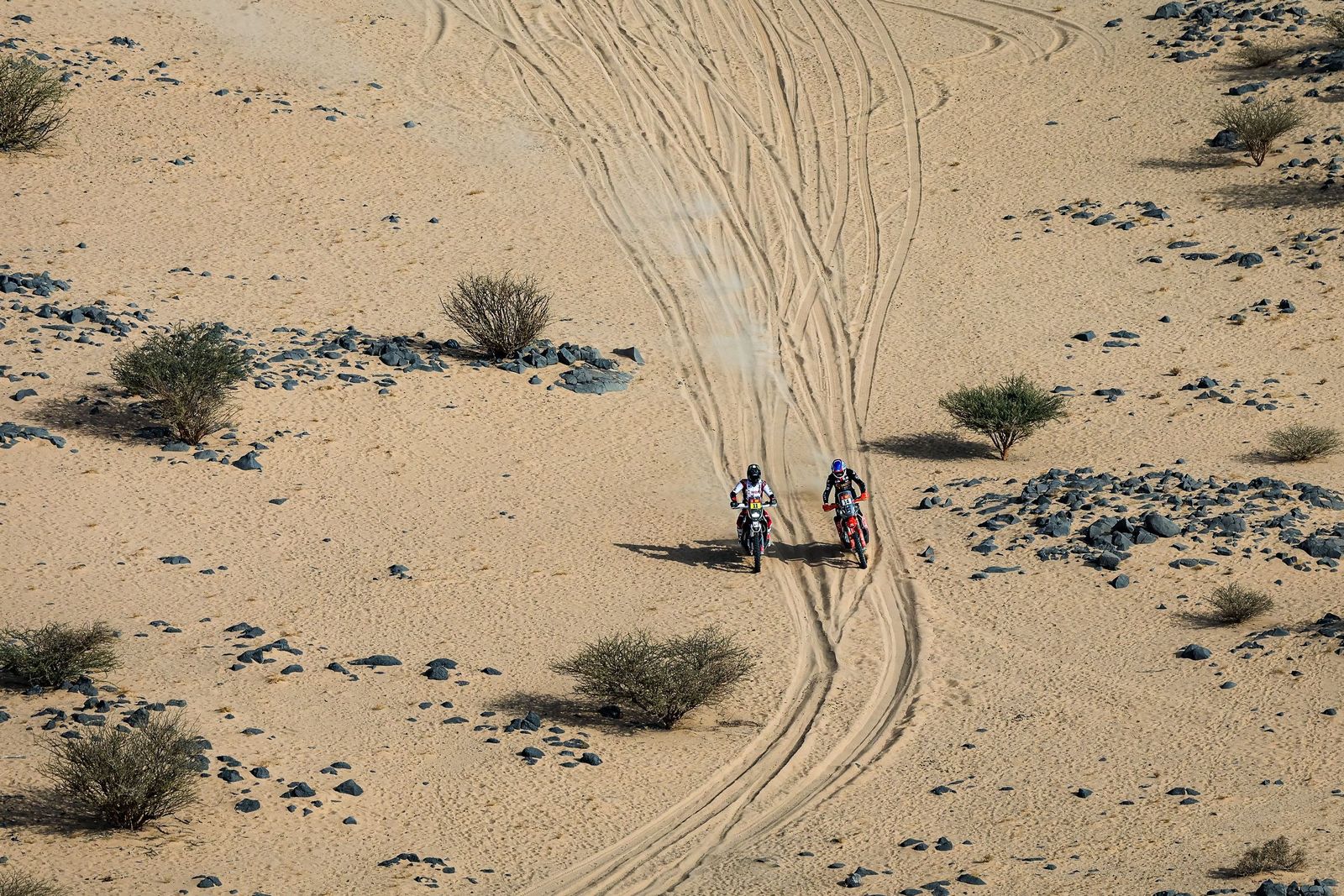Las mejores fotos del Rally Dakar | undécima etapa