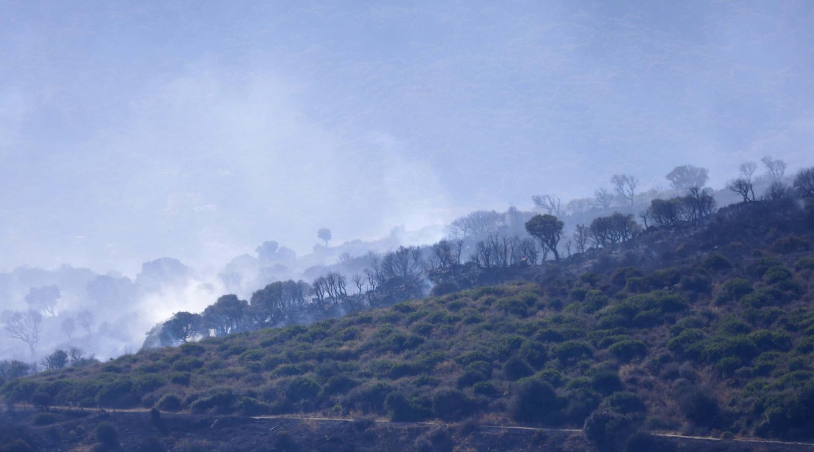 Las fotos del incendio forestal entre las Pantallas y Marchenilla, en Algeciras