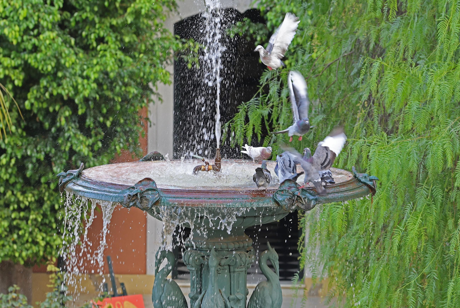 Las imágenes más destacadas del lunes 16 de septiembre en Huelva