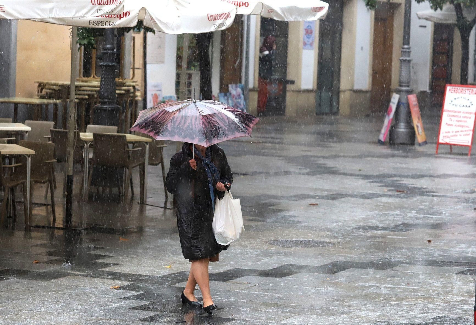 Una mujer, paseando con un paragüas por el centro.