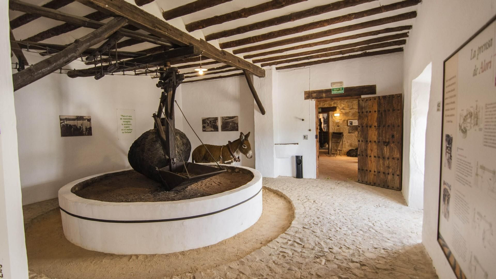 Última parada en el Museo de la Cultura del Olivo. No termines tu visita sin una cata del mejor Aceite de Oliva Virgen Extra (AOVE).