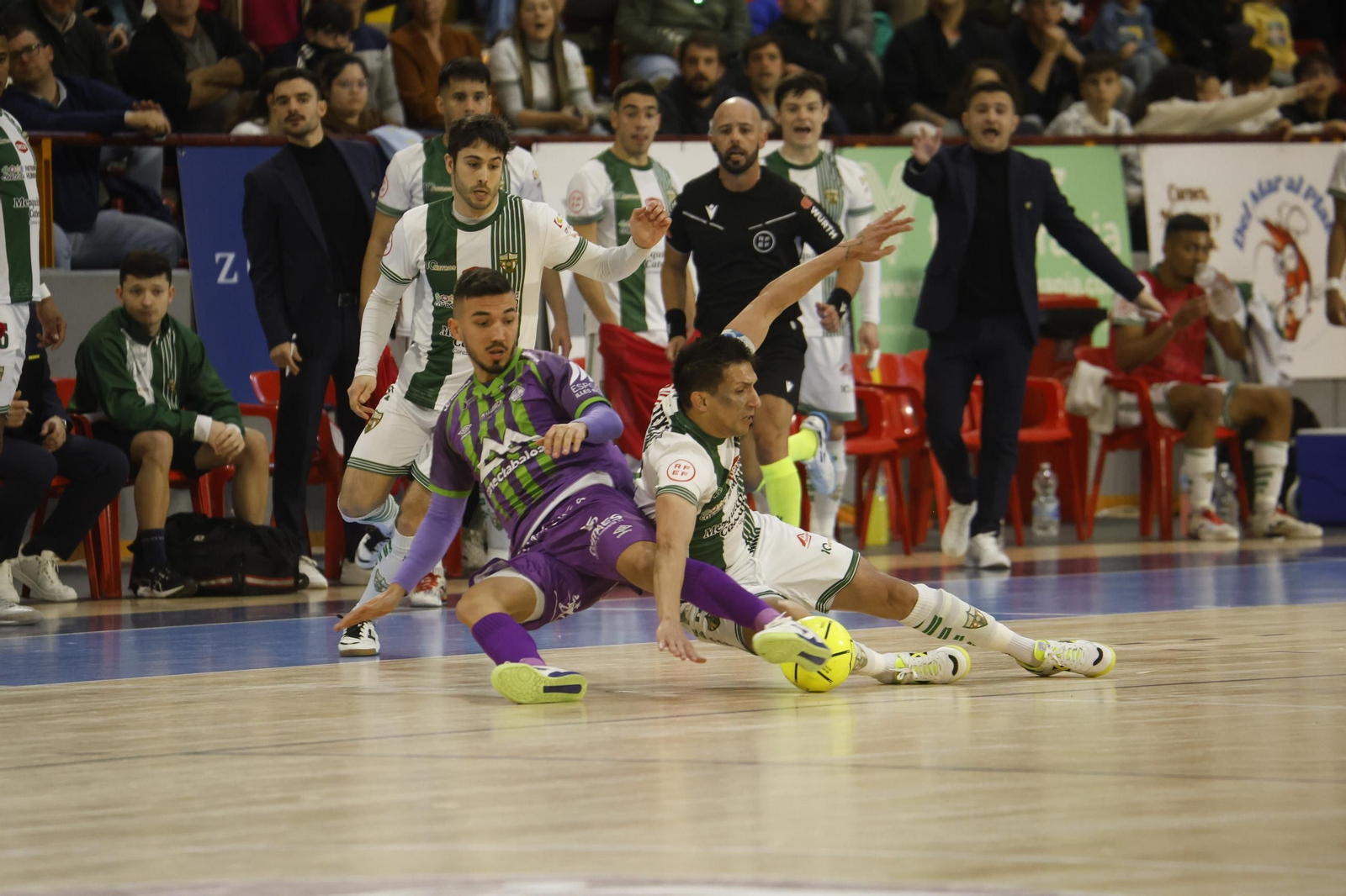 Las mejores fotos del ambiente en Vista Alegre para el Córdoba Futsal - Palma.