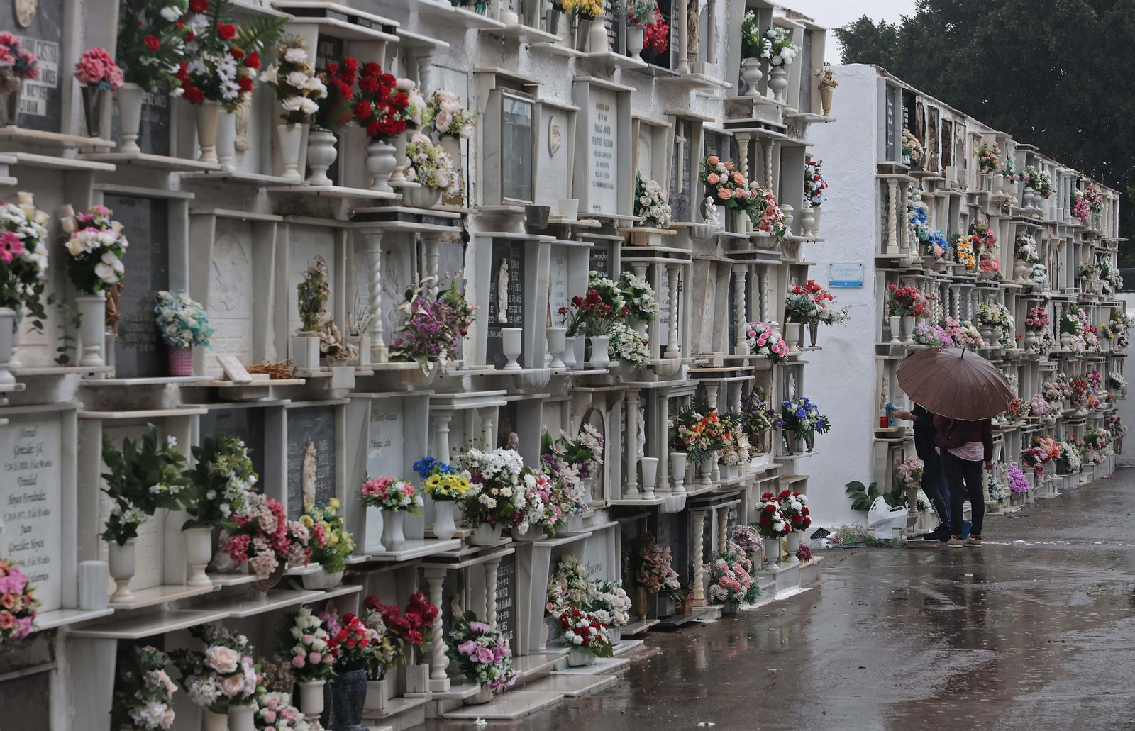 Fotos de los preparativos para Tosantos en el cementerio de Algeciras