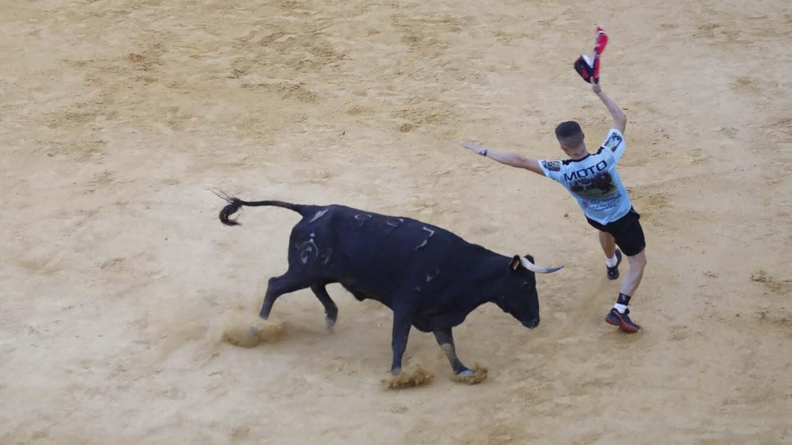 Las fotos del Toro del Aguardiente de San Roque