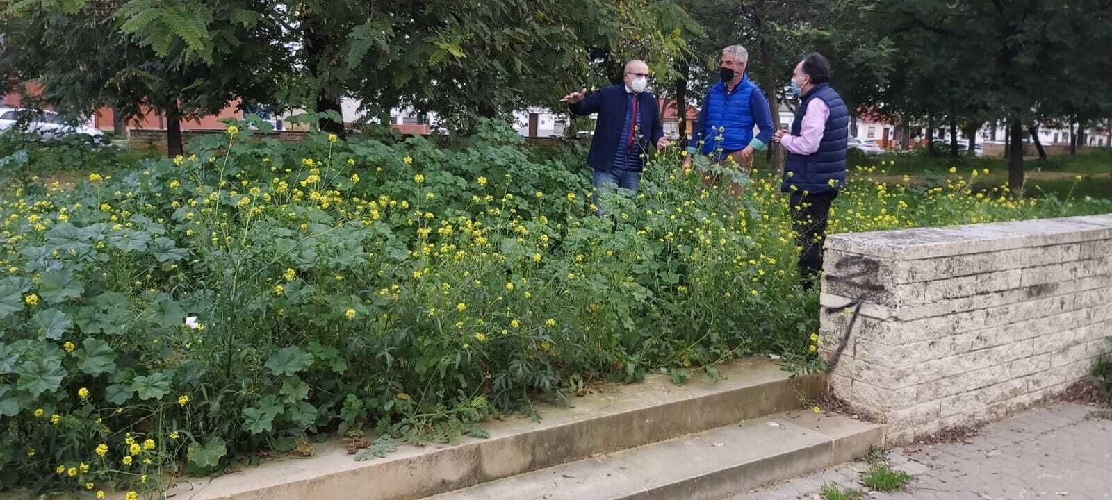 Representantes del Grupo Popular en una de las calles del distrito.