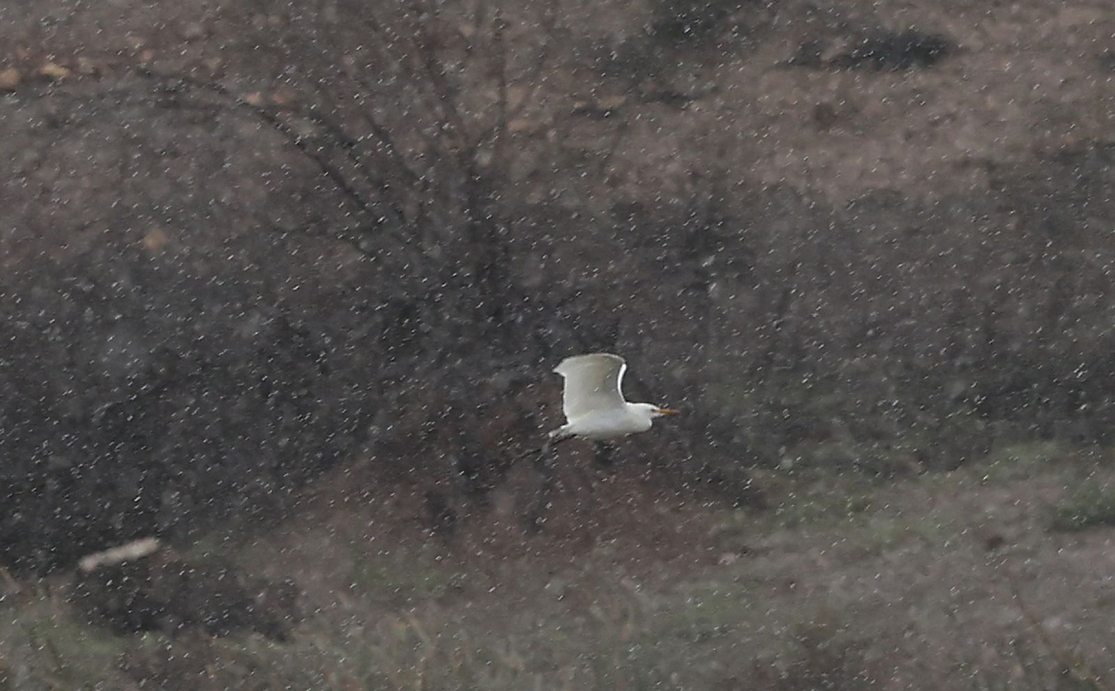Las imágenes de la crecida del río Guadaíra a su paso por Sevilla