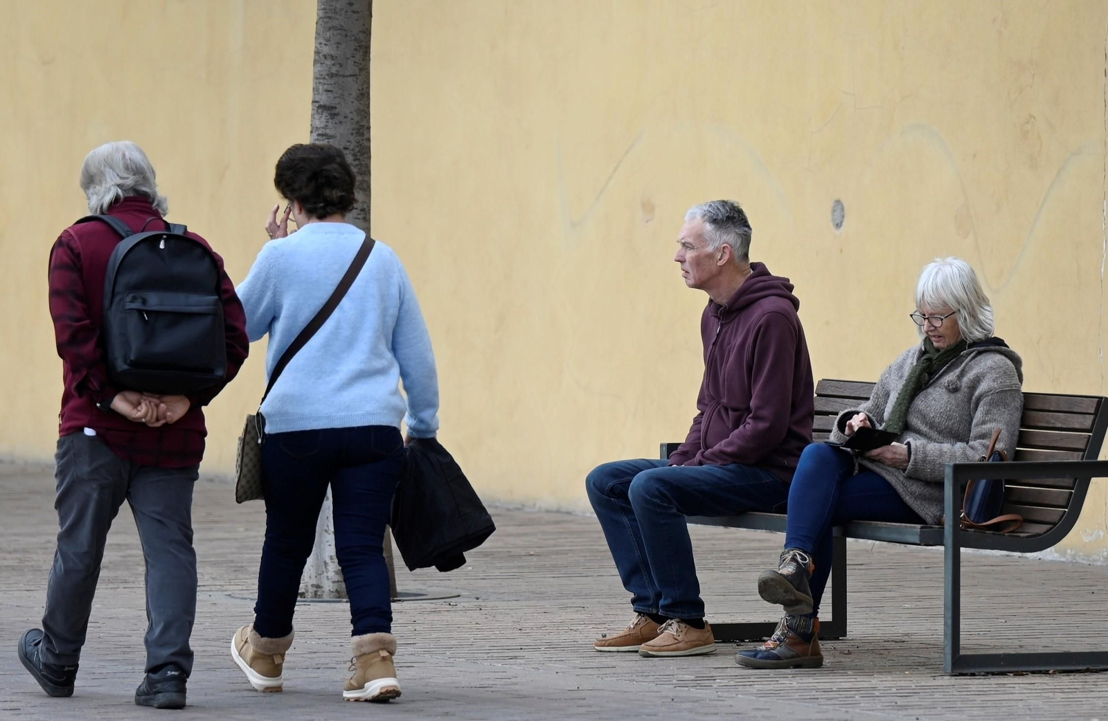 Un paseo en imágenes por la Ribera de Córdoba una gélida mañana