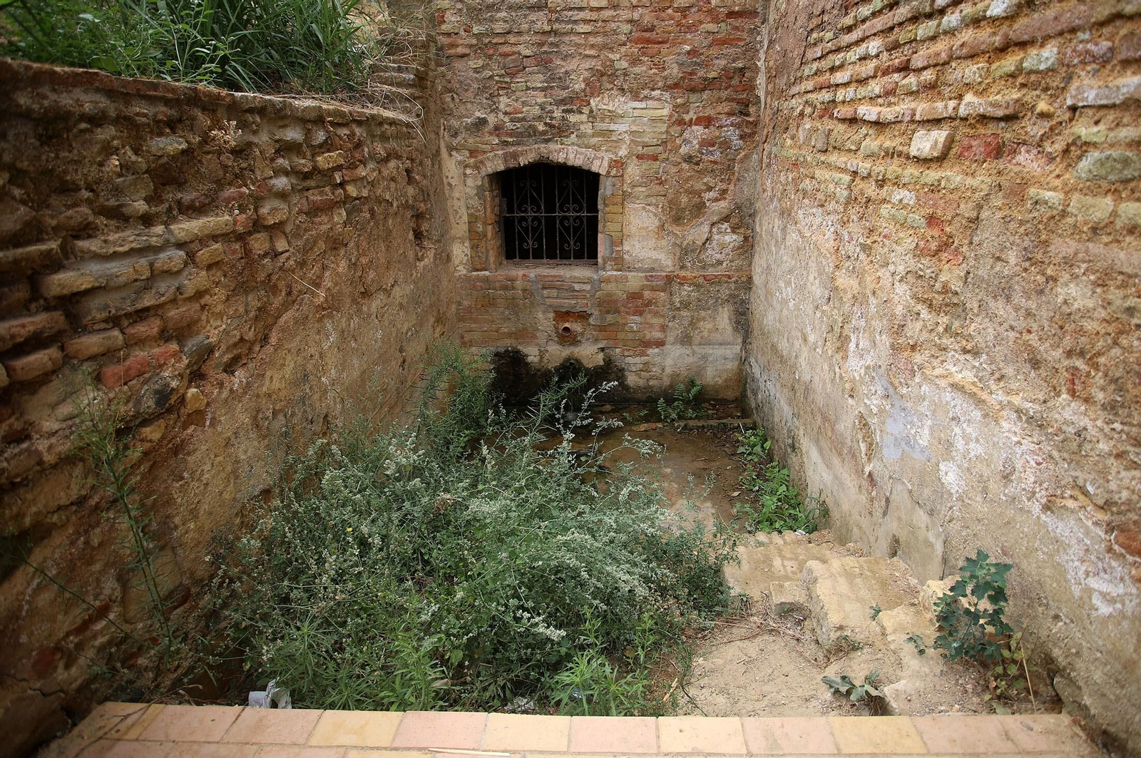 Imágenes de la visita guiada a la Fuente Vieja de Huelva por el arquitecto Francisco Javier López