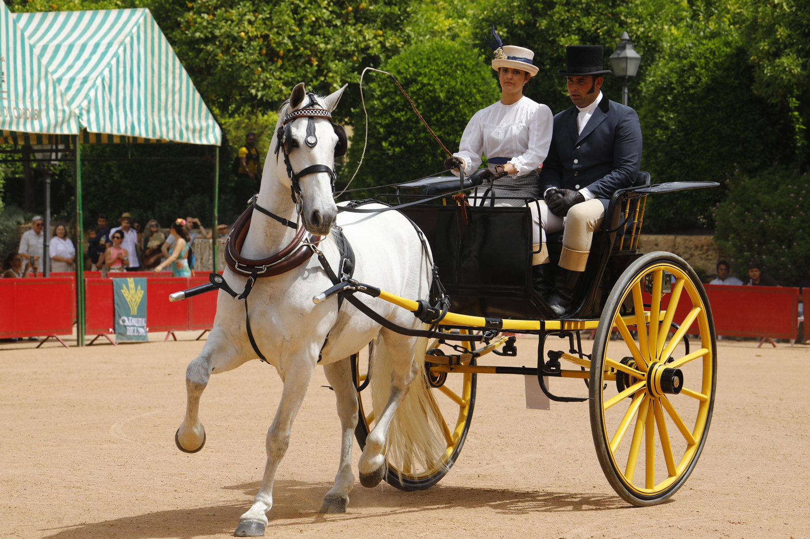 La Exhibición de Carruajes de Tradición de la Feria de Córdoba, en imágenes