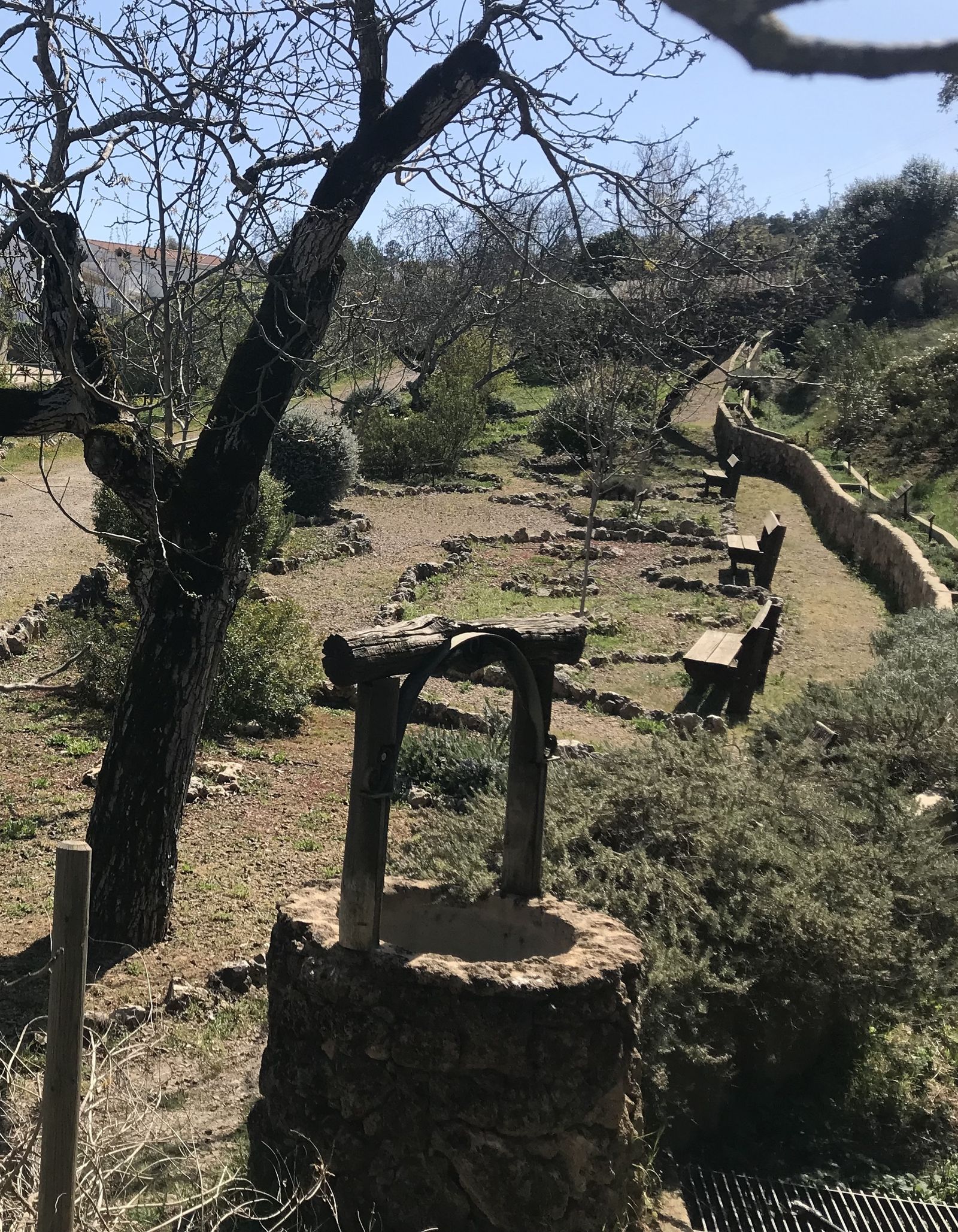 Parque Botánico Los Nogales de Puerto Moral