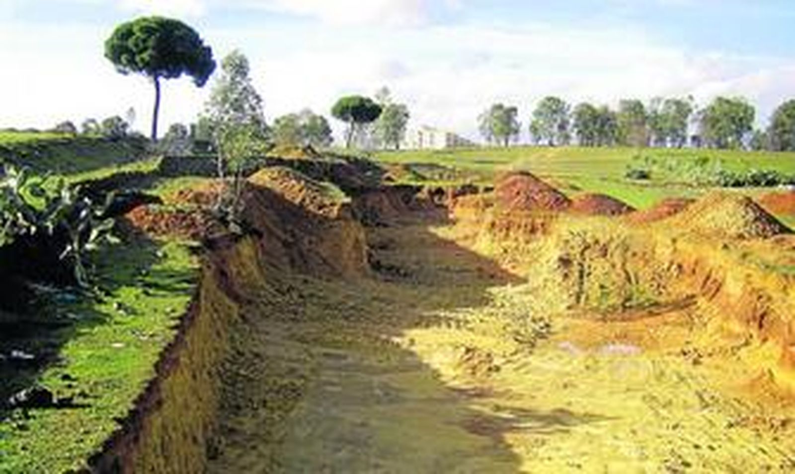 Imagen de la supuesta cantera ilegal situada en el paraje conocido como La Isla.