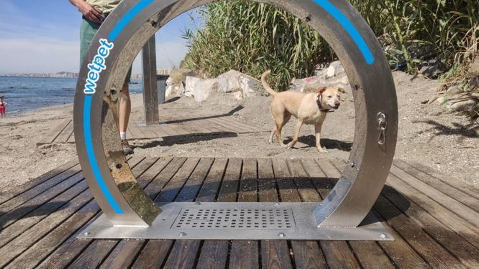 En tu casa nunca quiere darse un baño, pero en la playa no saldrá del agua.