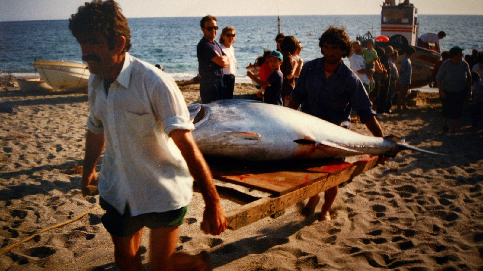 Pescadores portando atún rojo hace 10 años