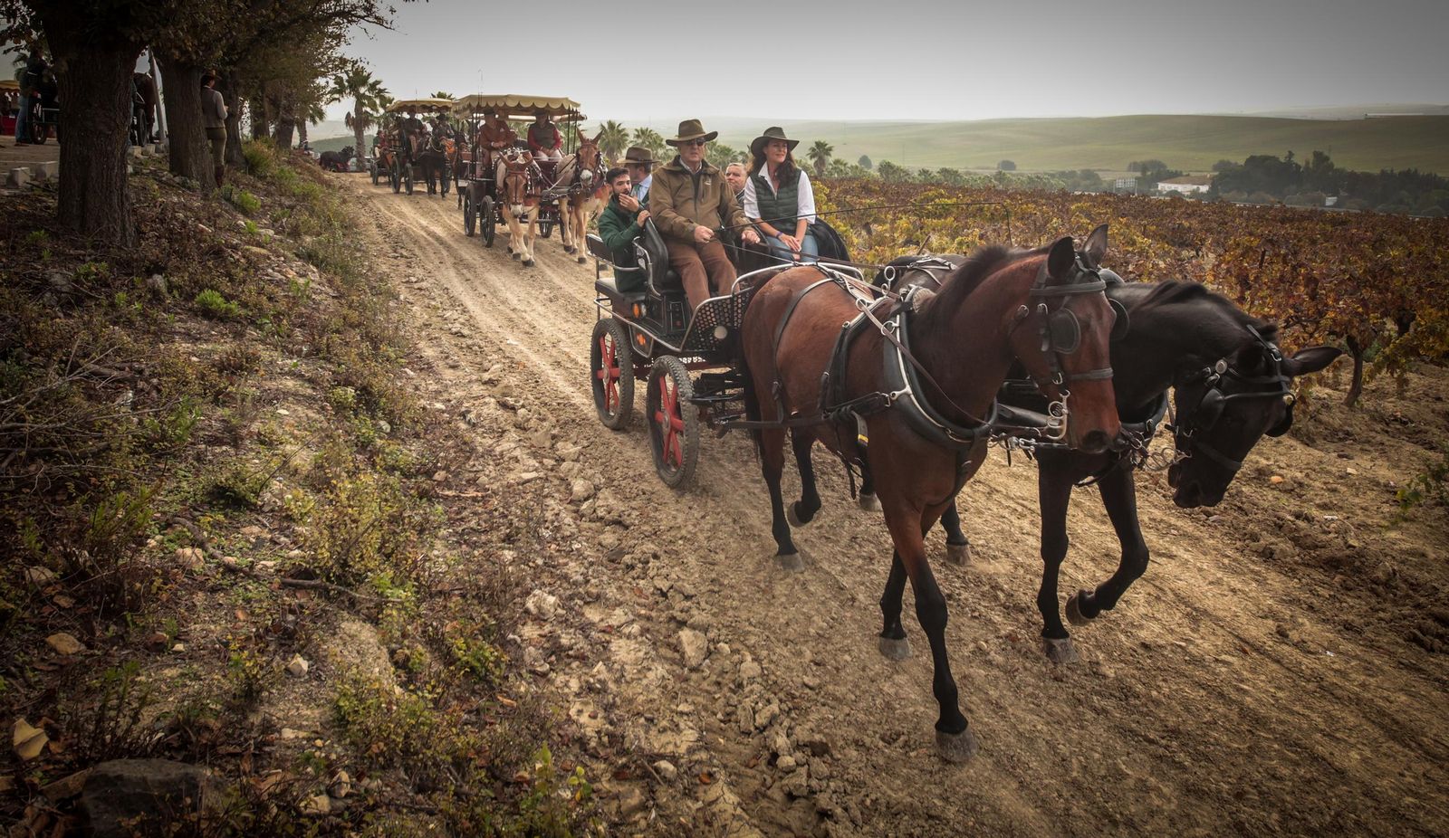Búscate en la III Ruta Viñas de Jerez de Enganches