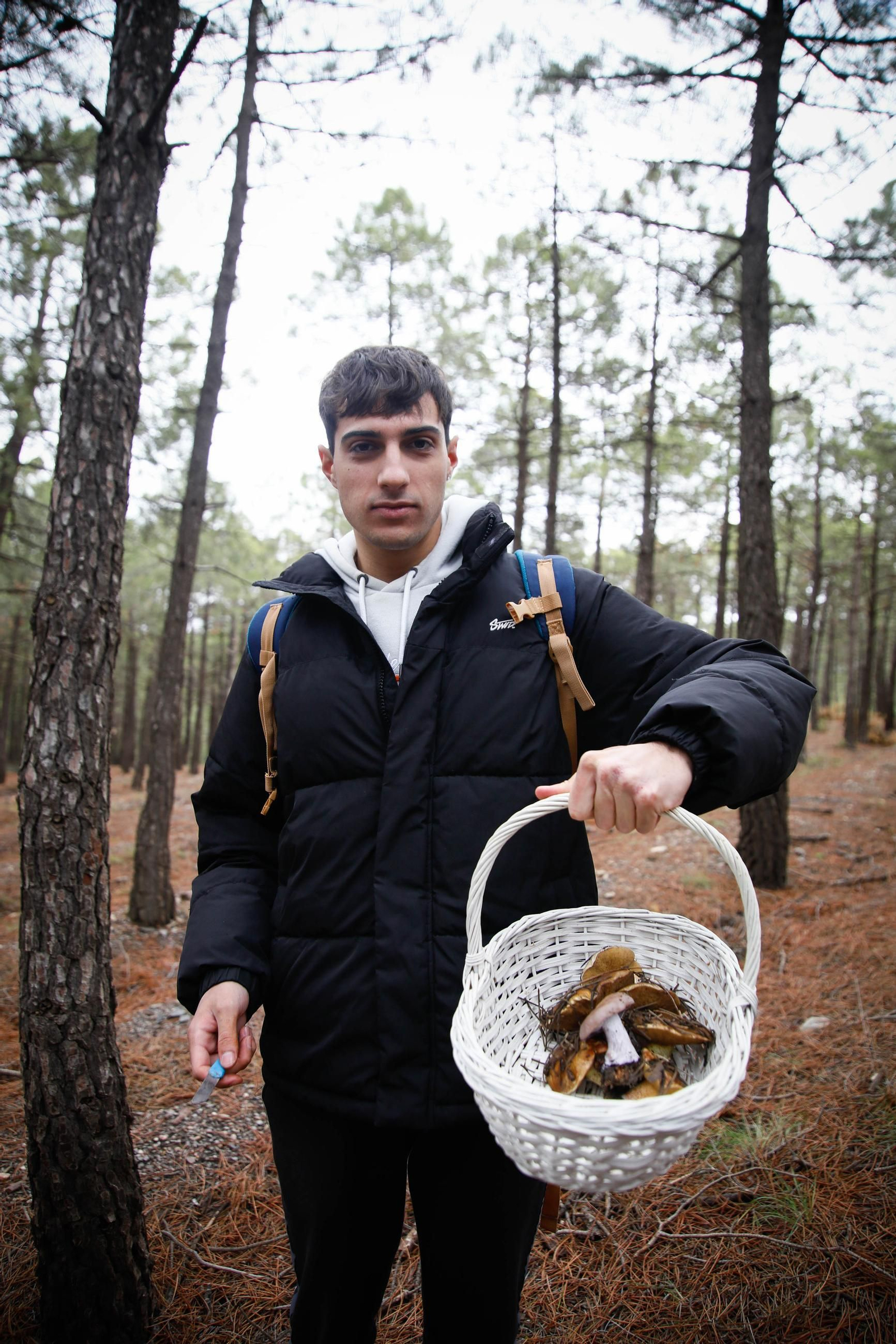 La ruta recolectora de setas en Abla por las XIX Jornadas Micológicas, en imágenes