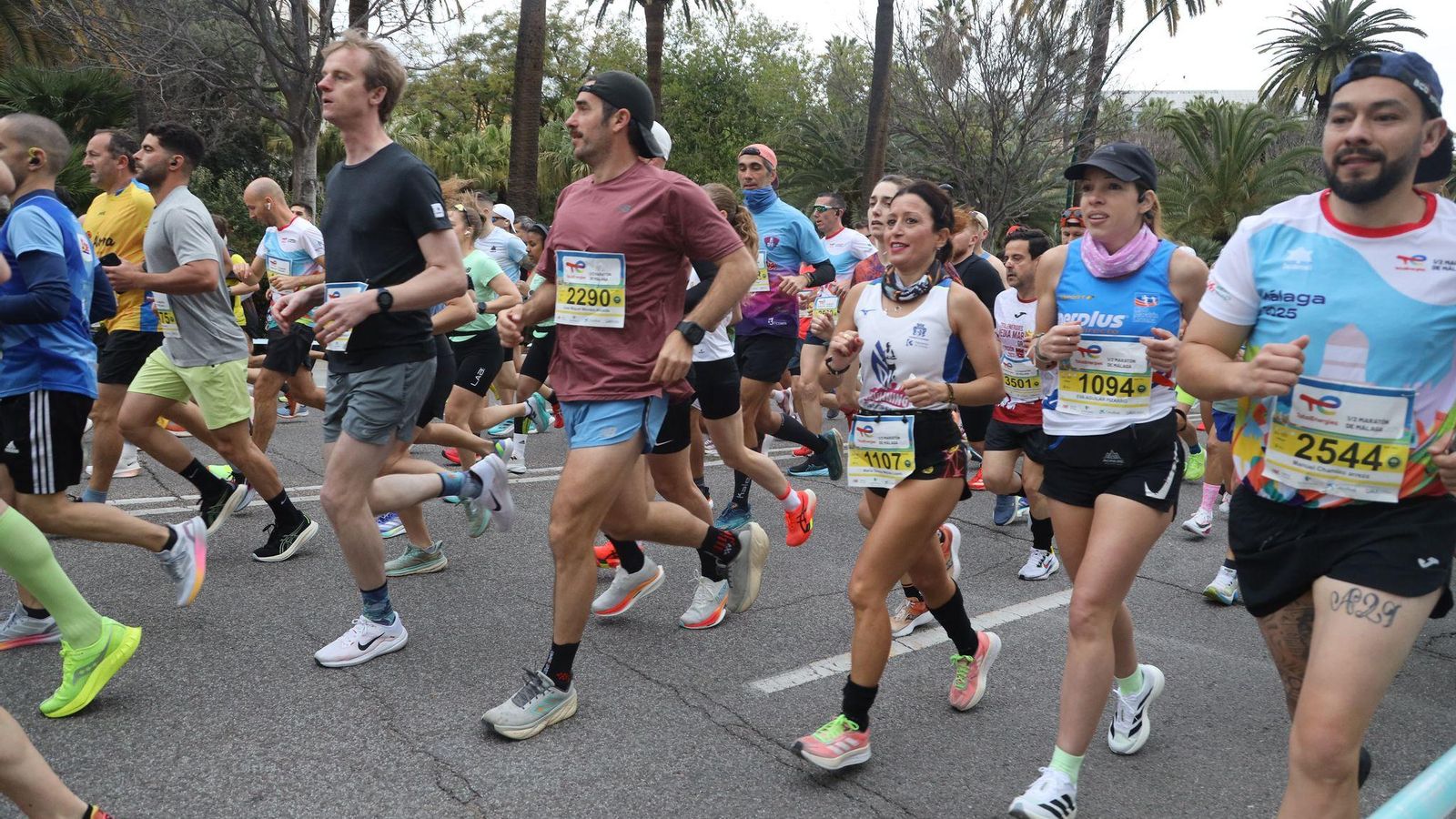 La Media Maratón de Málaga 2025, en fotos
